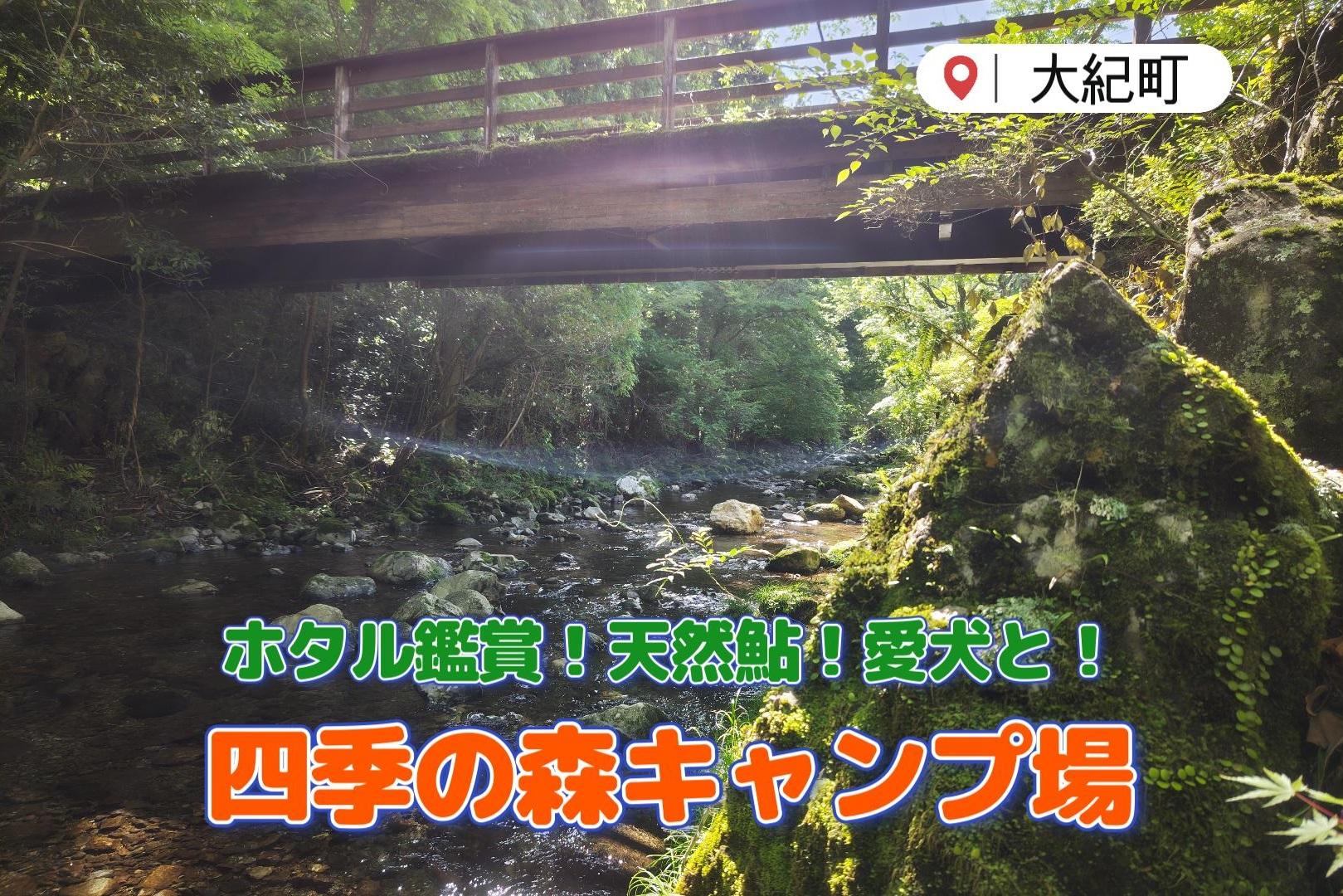 ホタル鑑賞！天然鮎！川遊び！愛犬とキャンプもオススメ！「四季の森キャンプ場」（大紀町）