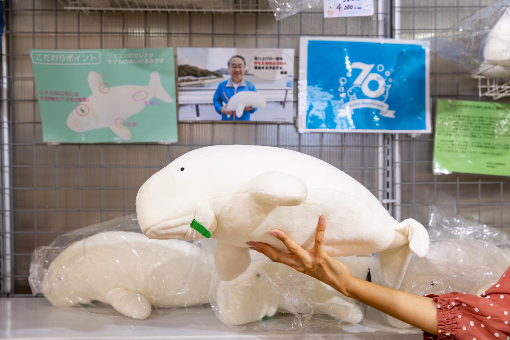 館長監修！ジュゴン「セレナ」のぬいぐるみ-1