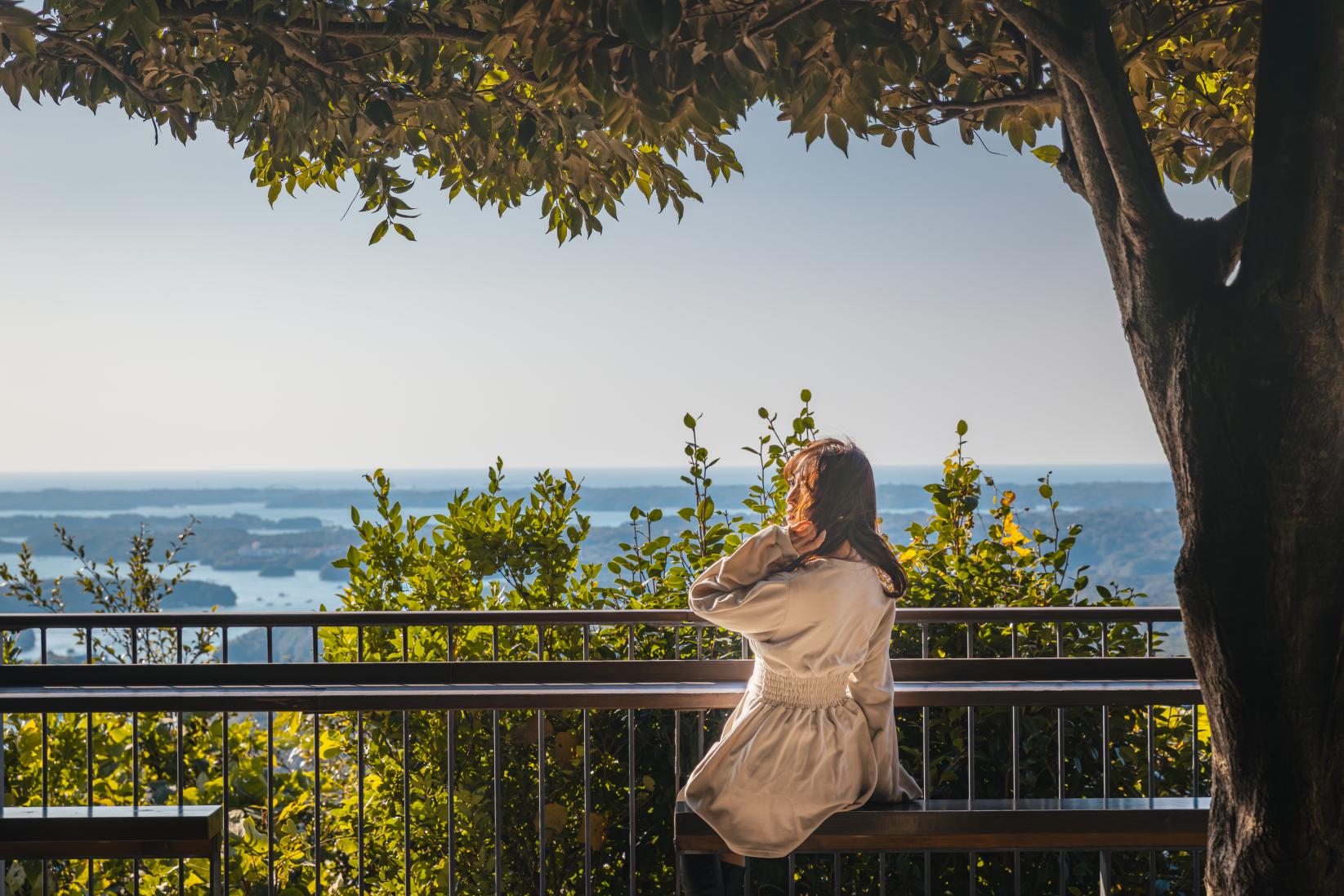 木もれ日テラス-1