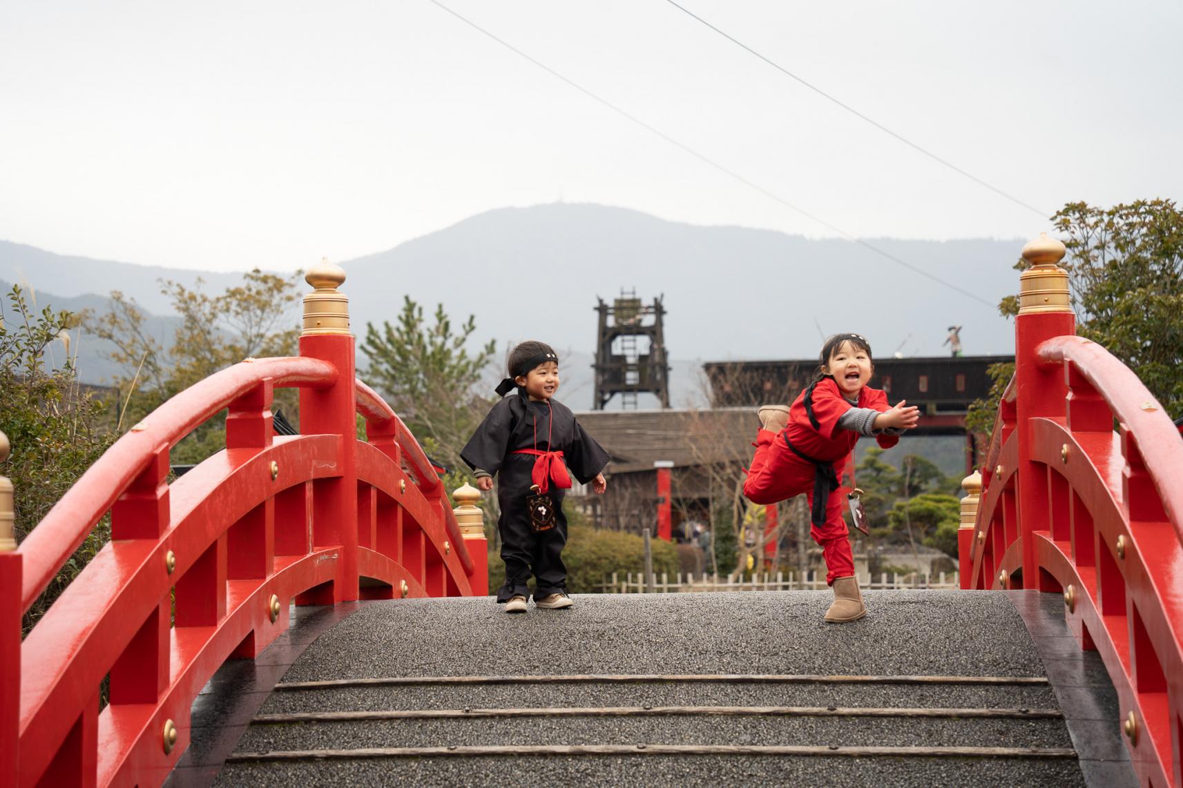 基本情報-1