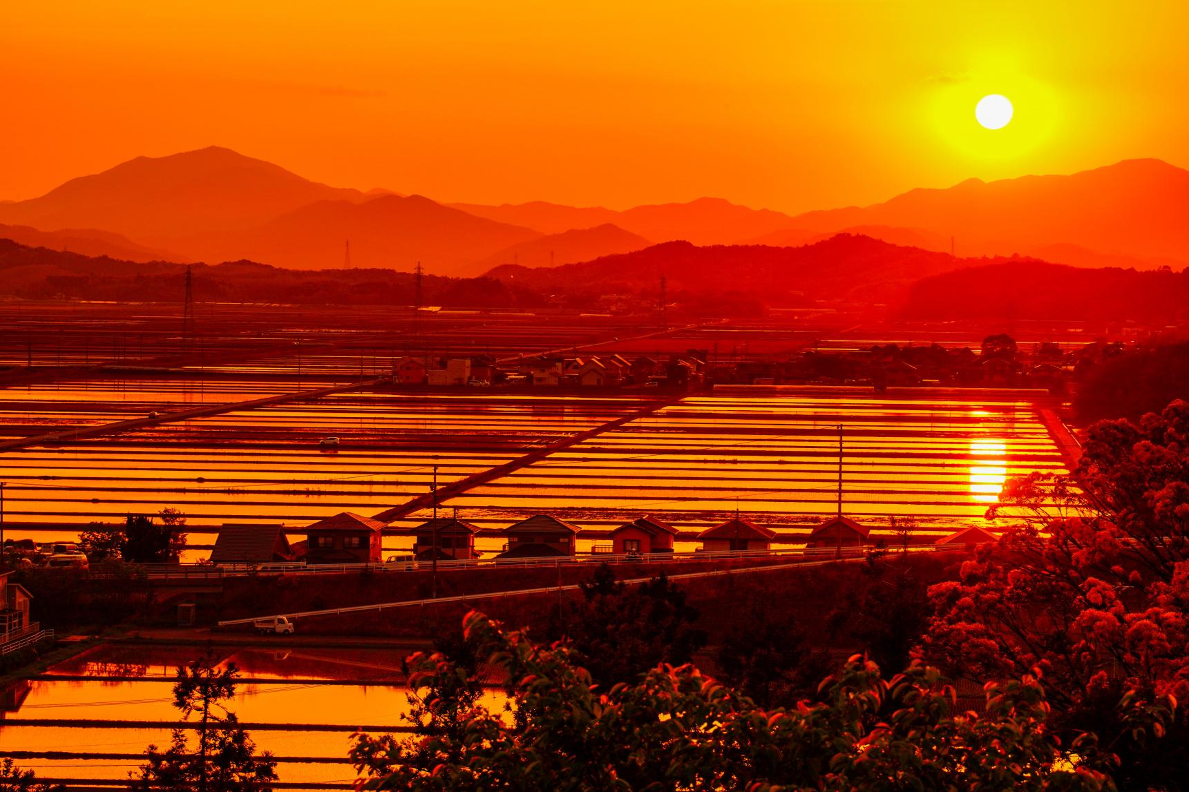 田丸城跡から見える夕焼けの景色-1