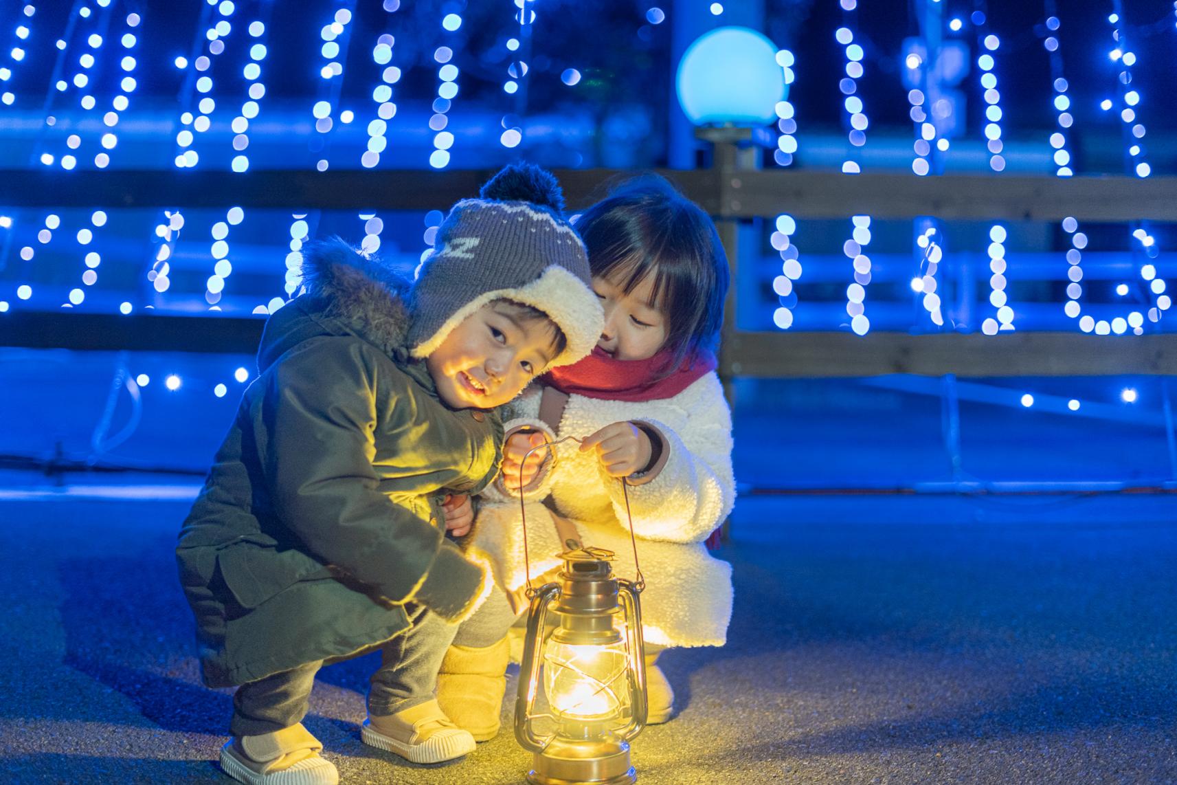 あじ横産直市場イルミネーション基本情報-1