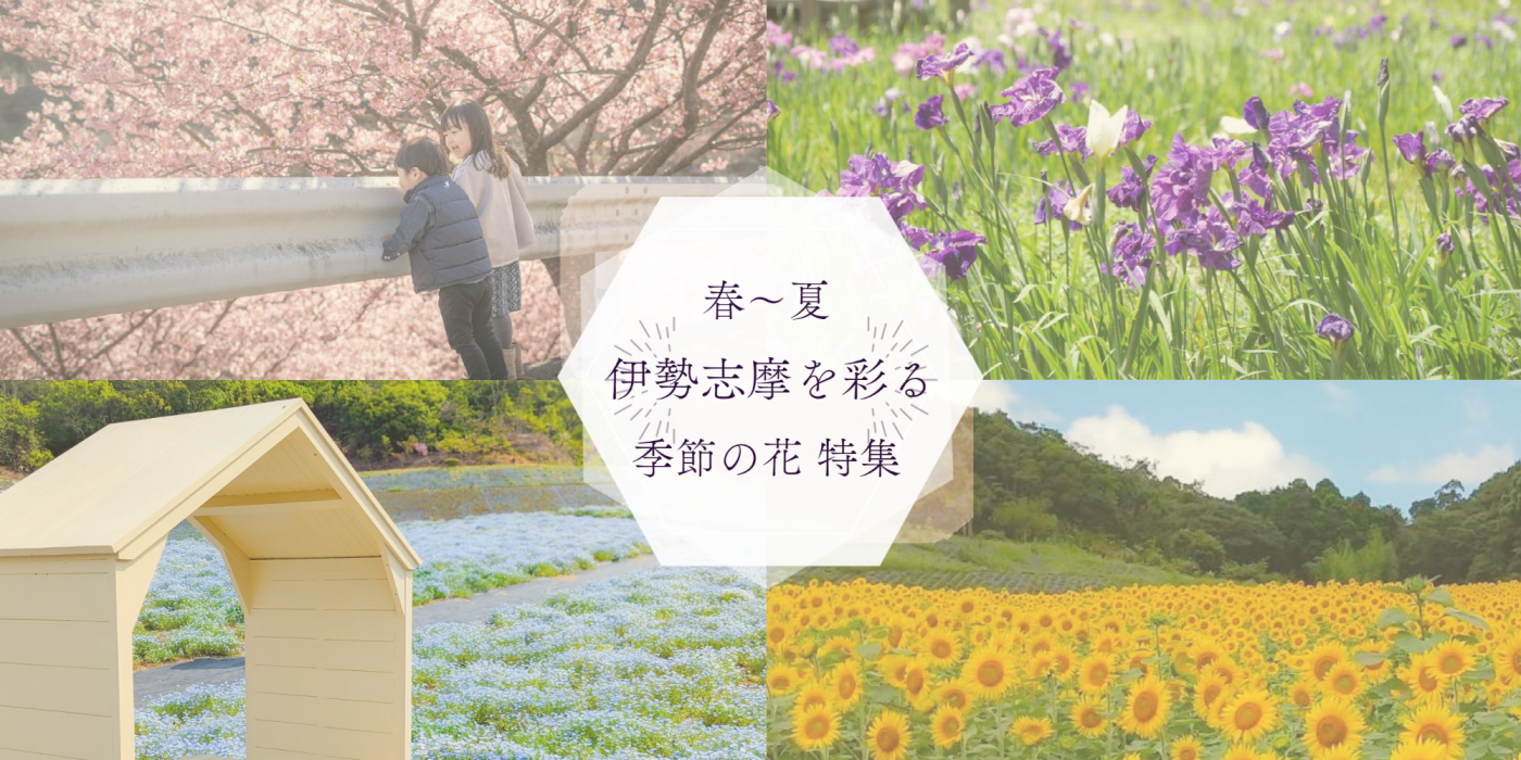【春～夏】伊勢志摩を彩る 季節の花特集！満開の桜からひまわりの名所までご紹介