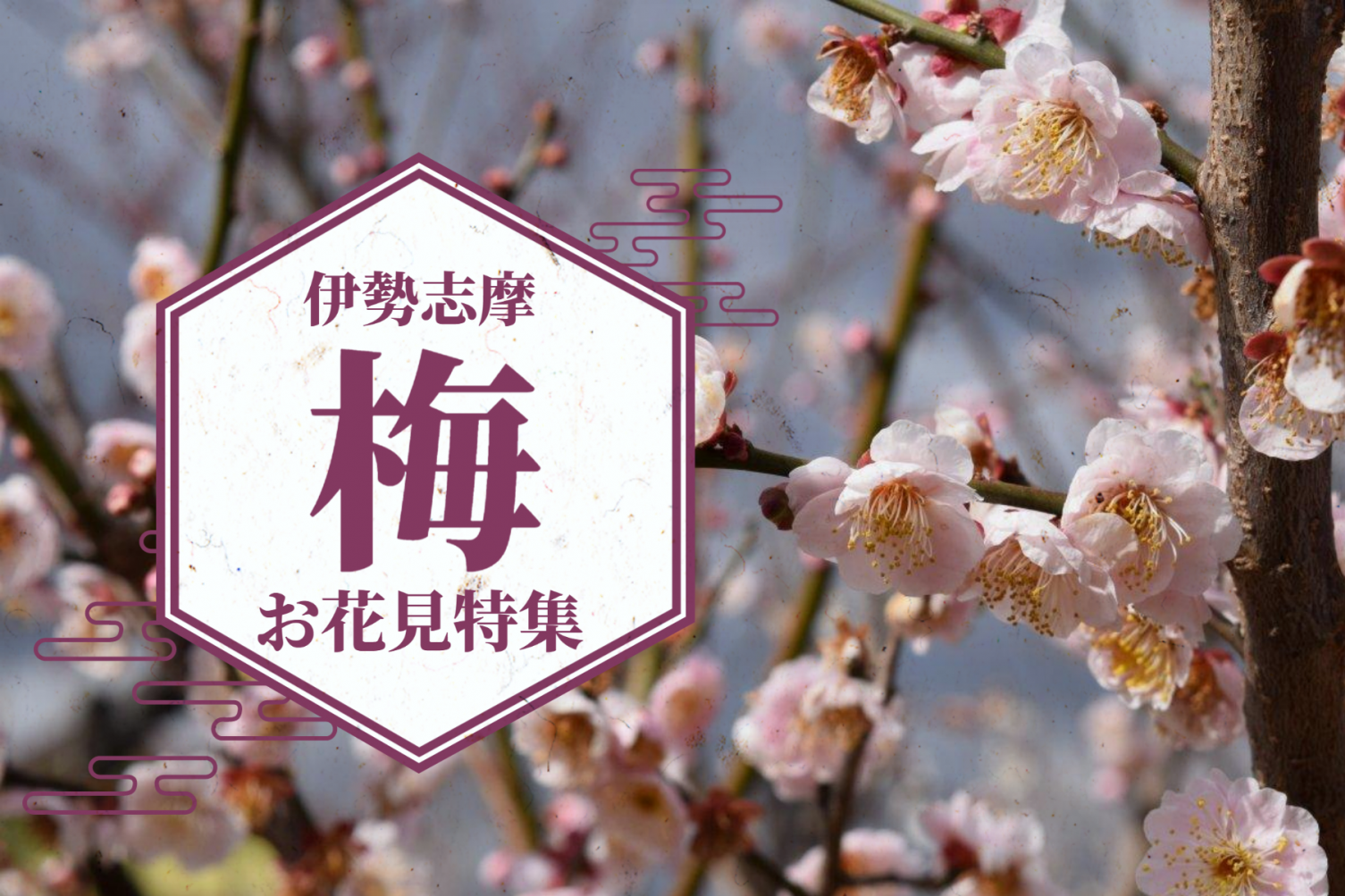 特集： 伊勢志摩の梅の名所５選！満開のお花見スポットをご紹介します