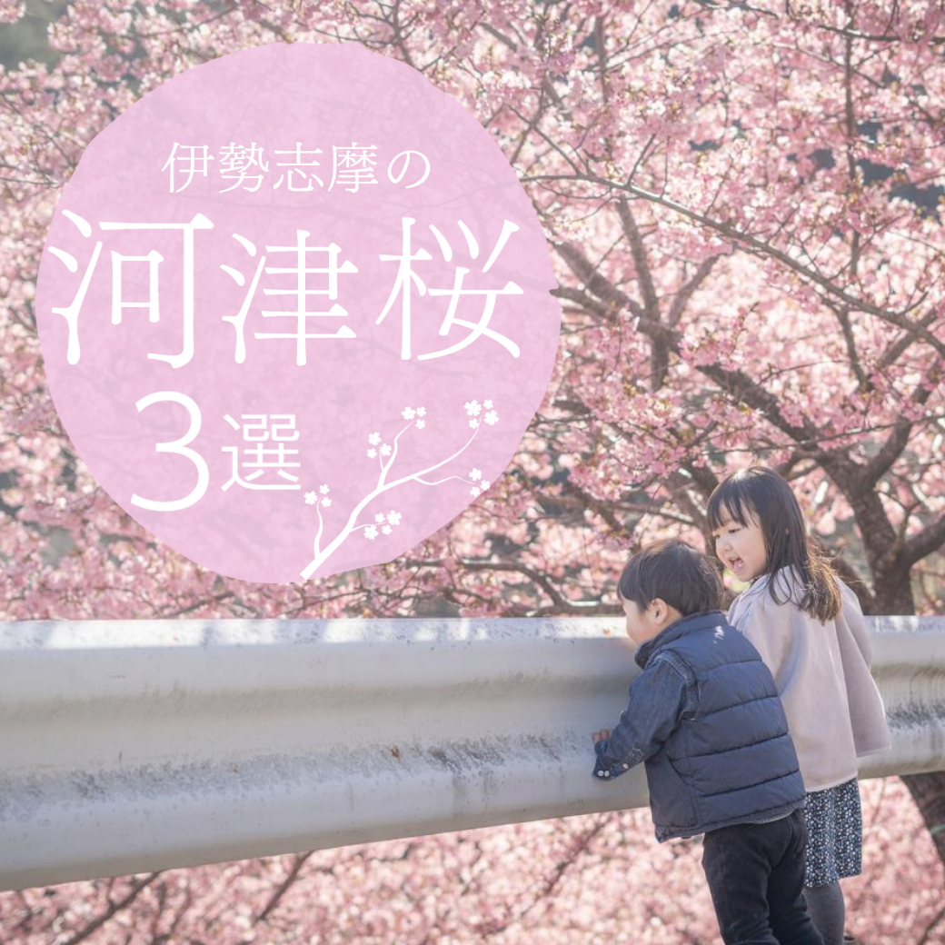 春を先取り！三重が誇る伊勢志摩の『河津桜スポット３選』！