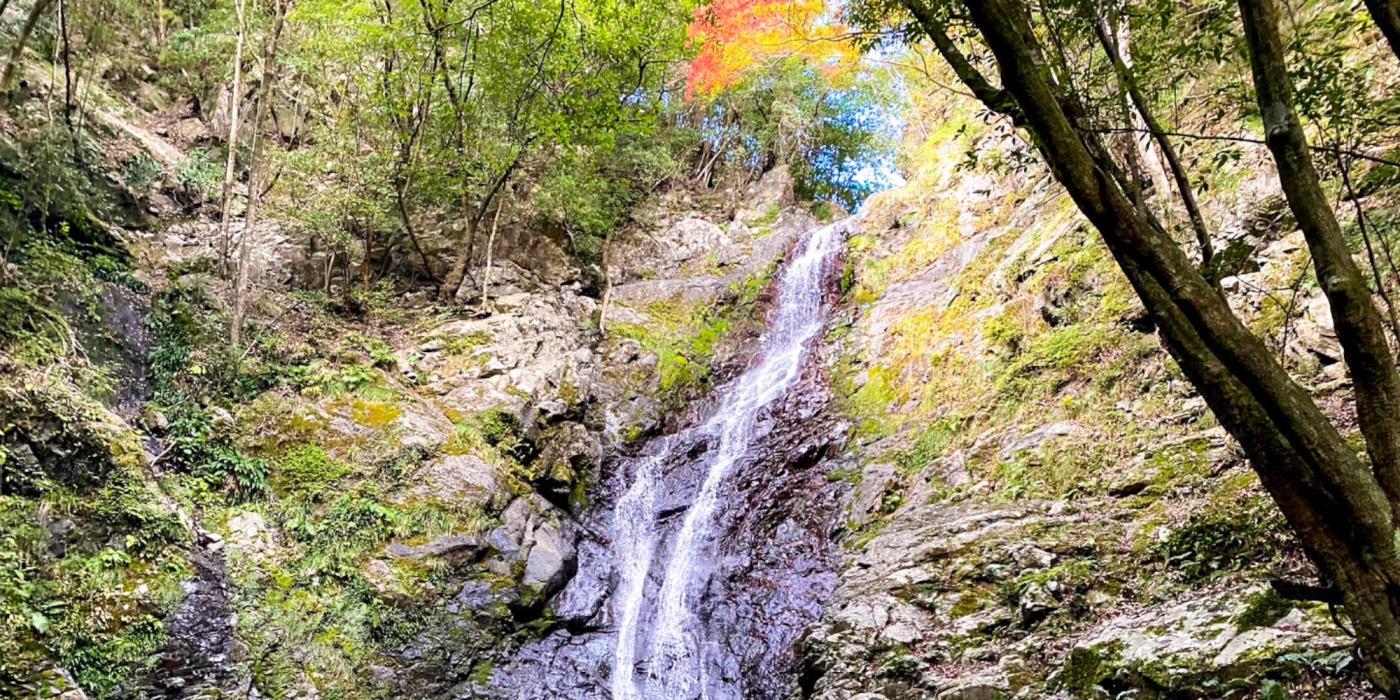 【癒しの絶景】伊勢志摩の美しい滝 7選！隠れた名瀑もご紹介します