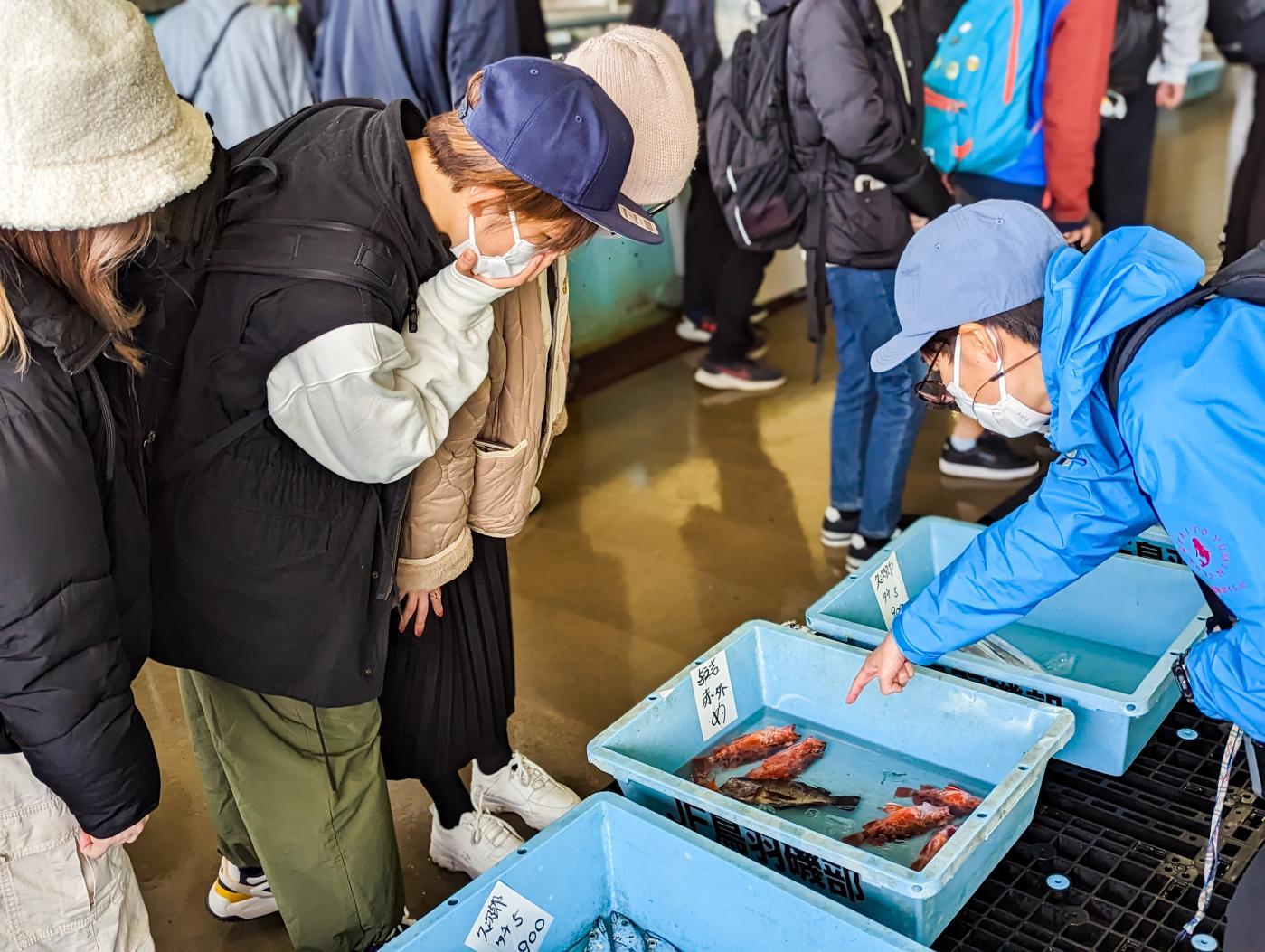 伊勢志摩修学旅行～漁村から発見するSDGsプログラム～