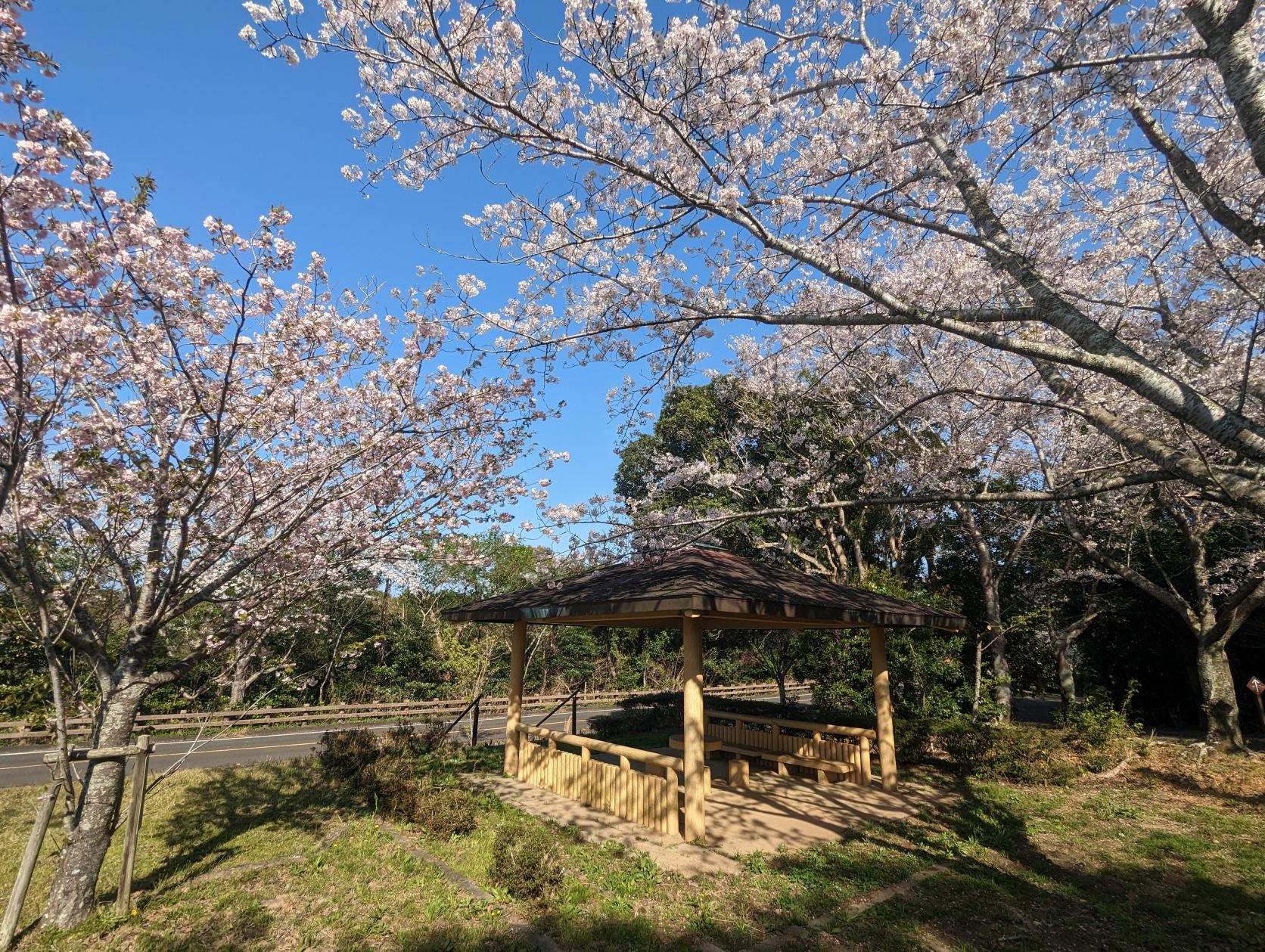 ともやま公園