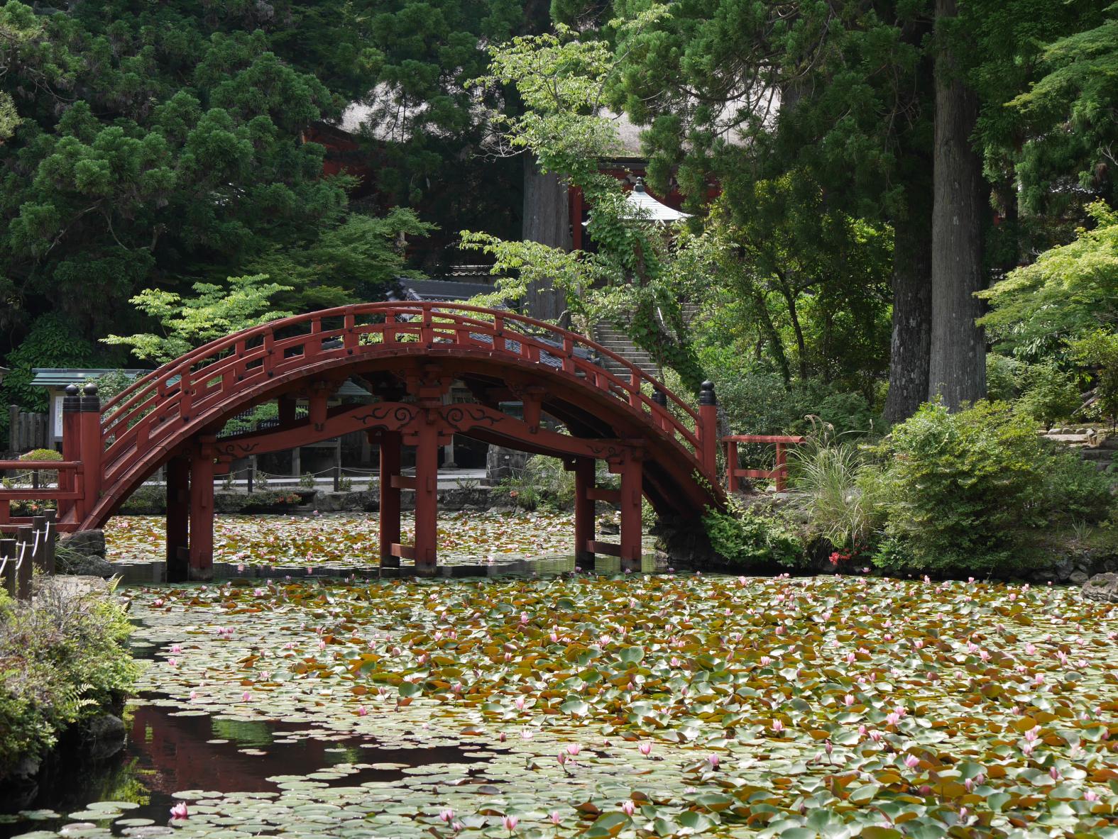 7.朝熊岳金剛證寺　連間の池　太鼓橋