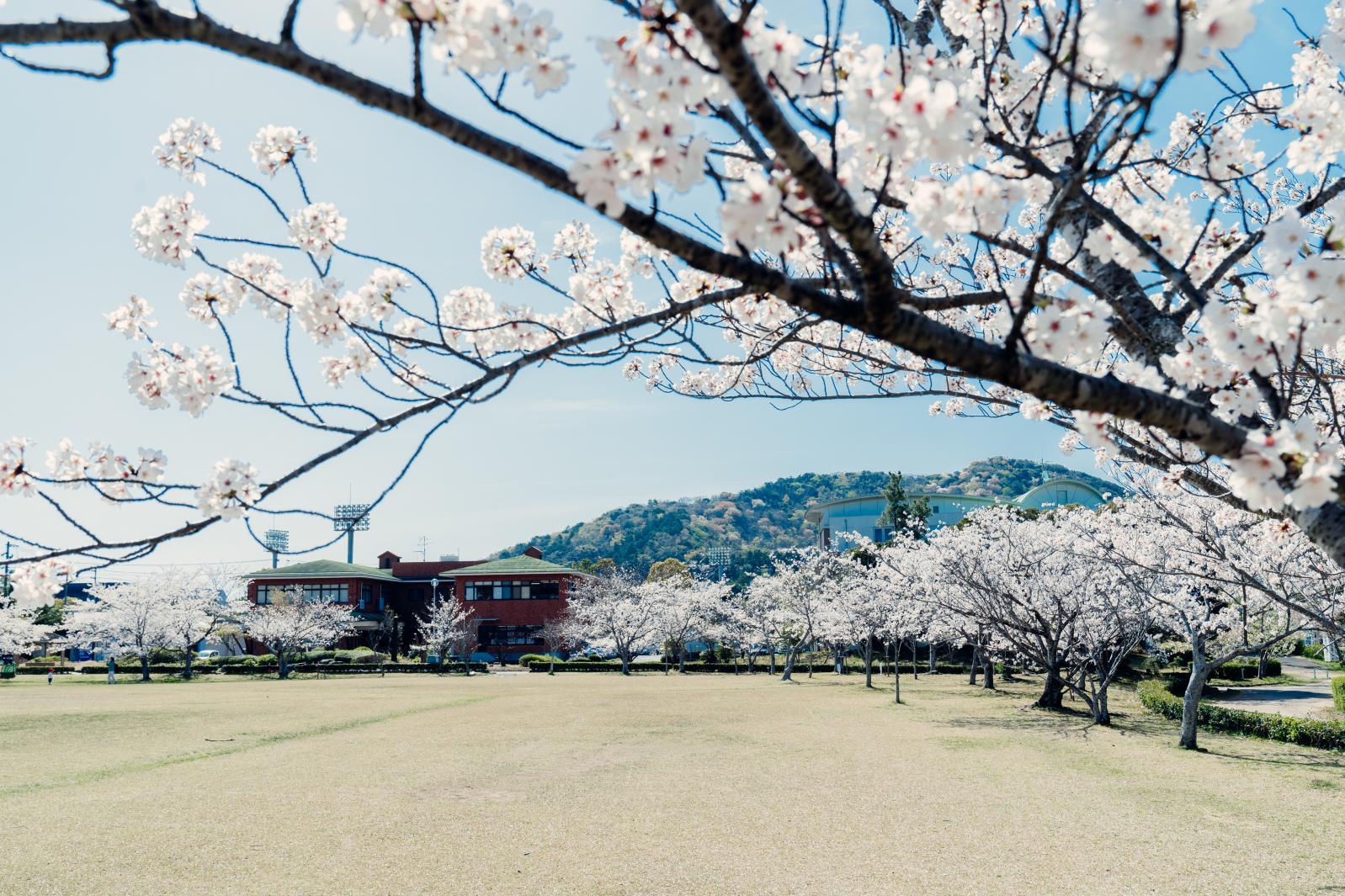 鳥羽市民の森公園（ガリバー公園）