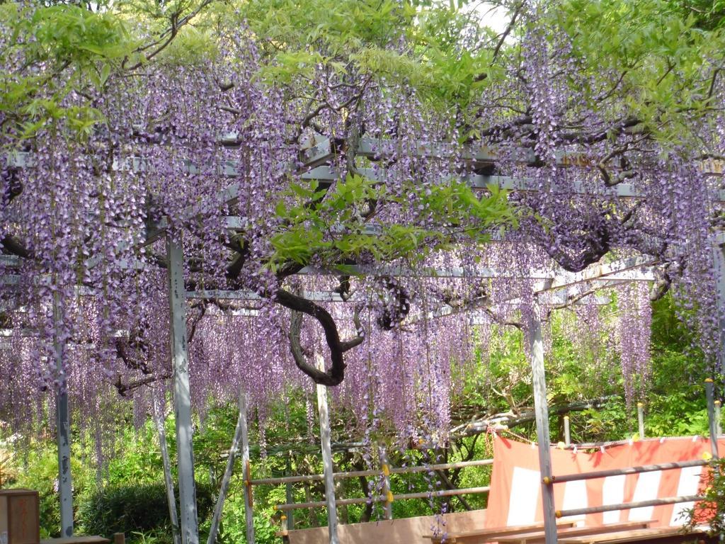 太江寺