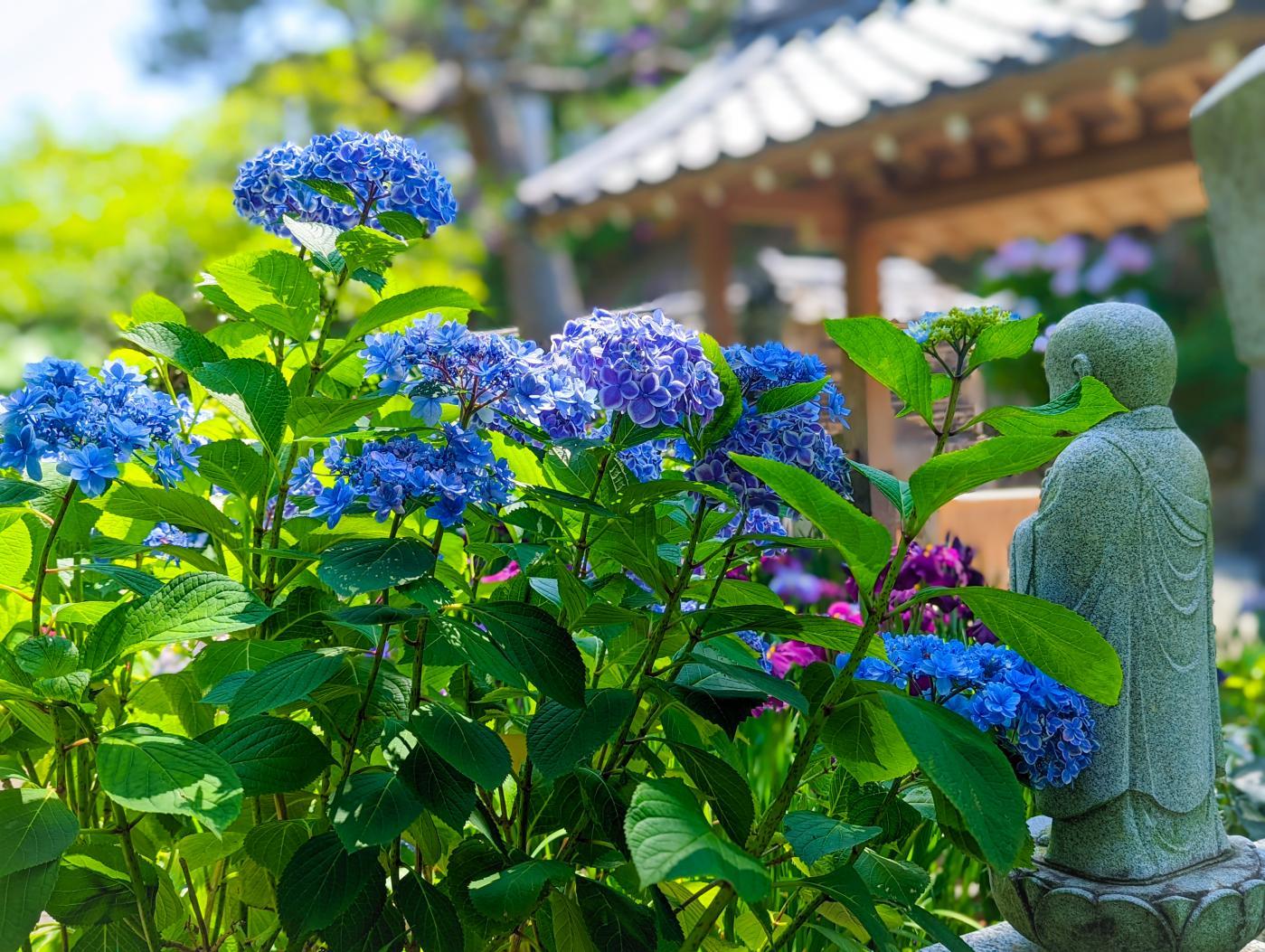 大慈寺