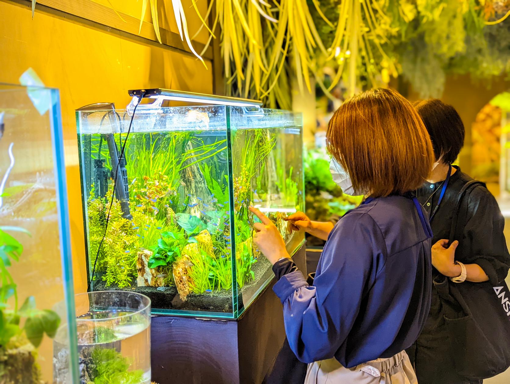 世界一の江戸庭園と日本一の園芸城下街として、リブランディングオープン！-4