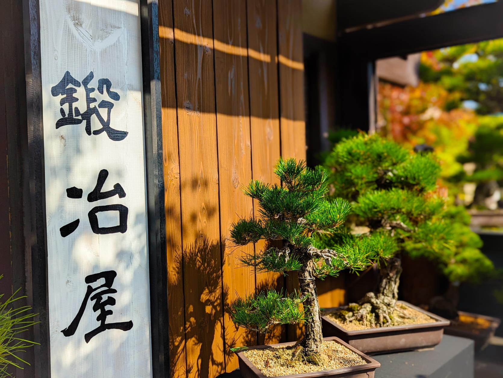 お土産に、かわいい苔玉や園芸用品も-2