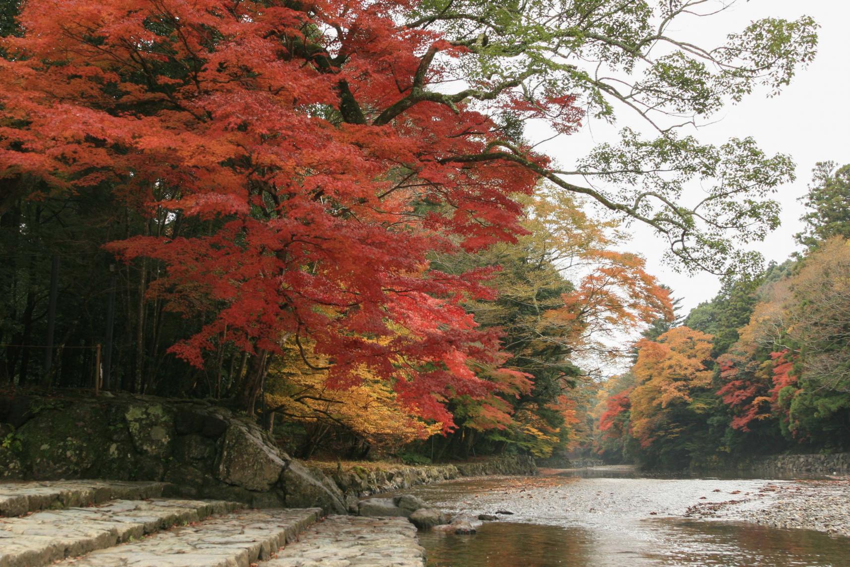 L’origine du lien entre le sanctuaire Ise-jingu et la région d’Ise-Shima-1