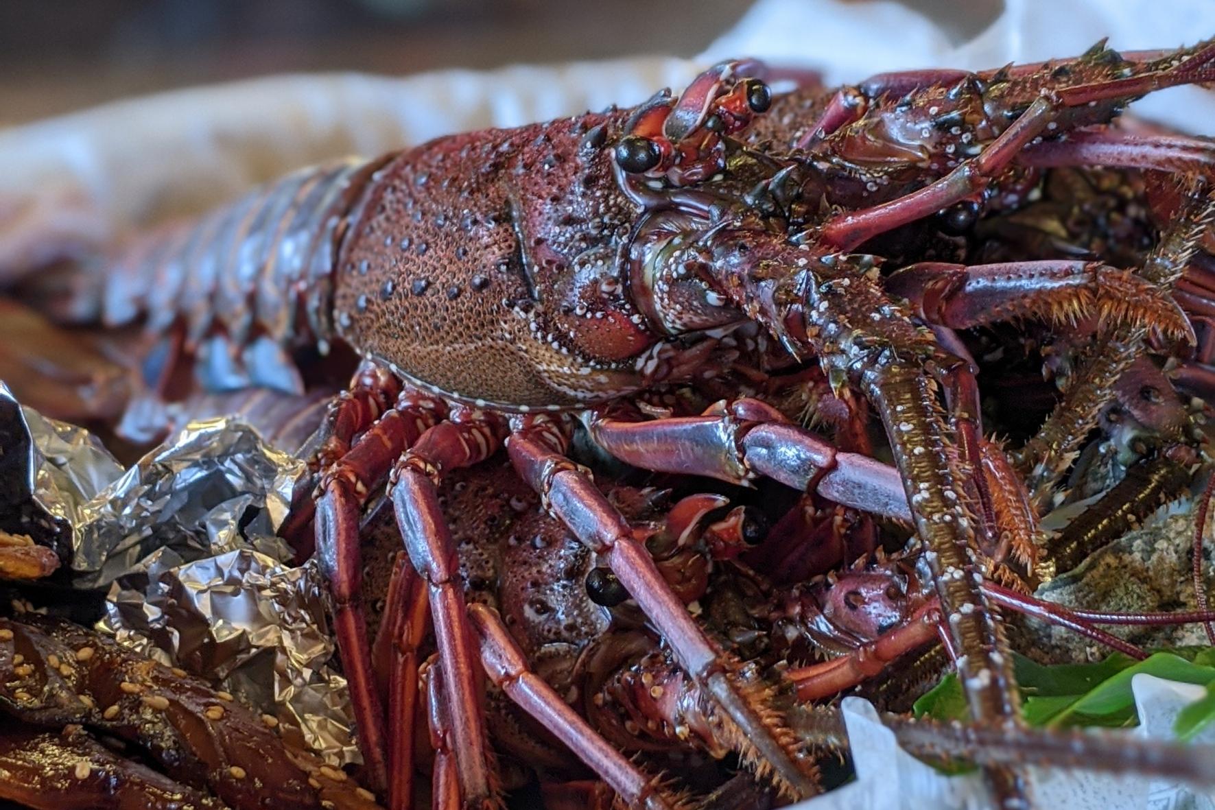 La gastronomie et les aliments emblématiques de la région d’Ise-Shima et de ses environs-0