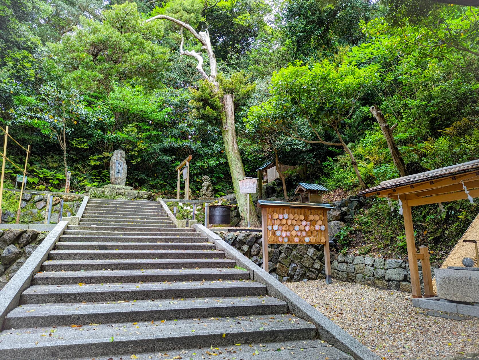 島内をゆっくり散歩！海岸沿いの日本庭園も-3