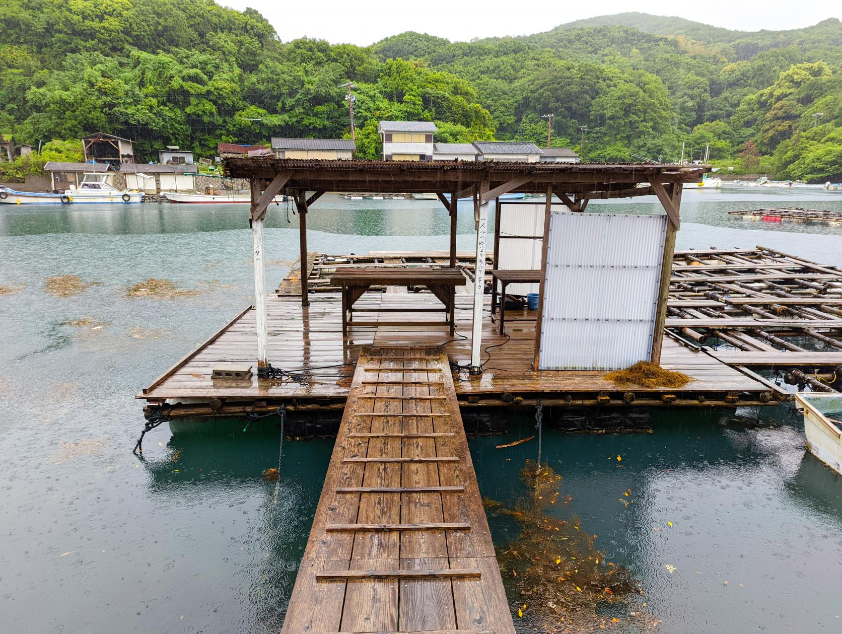 天気が良い日も、雨の日も楽しめる！-2