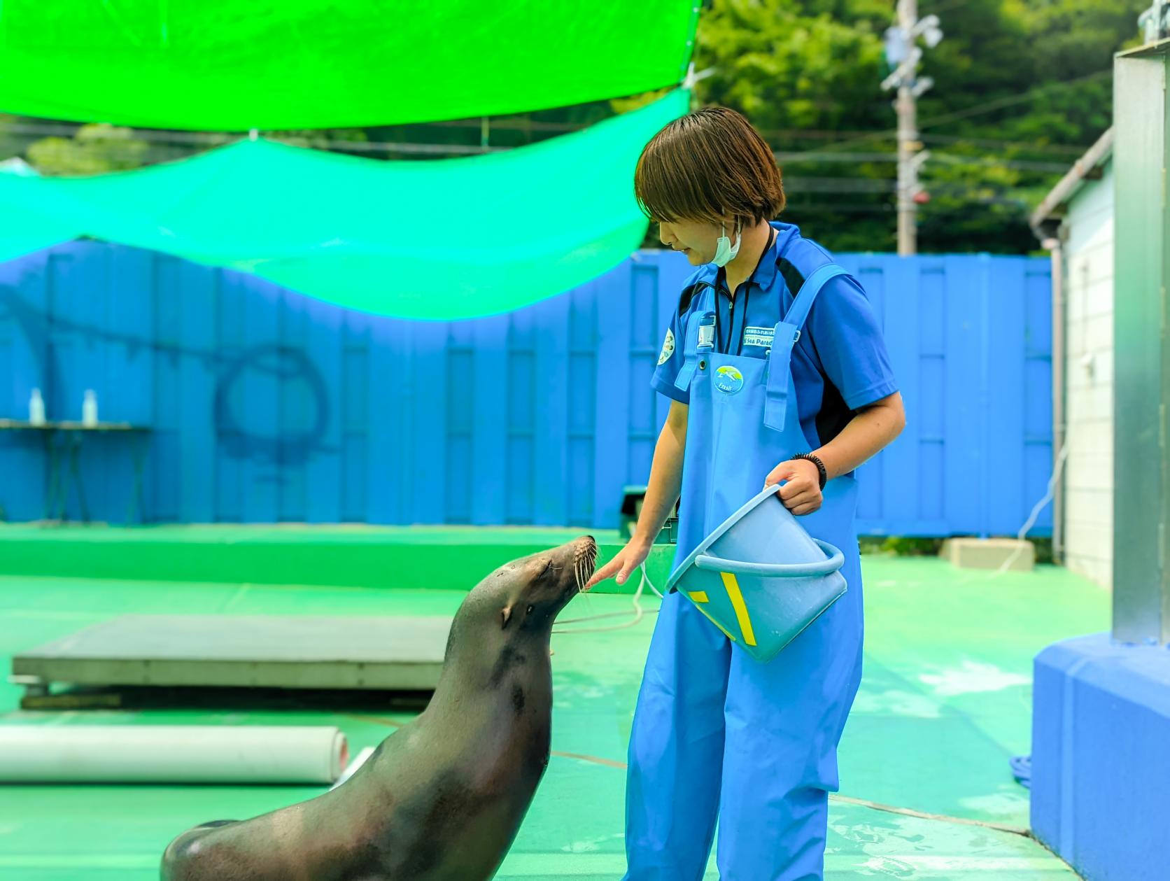 海獣広場で癒されよう-0