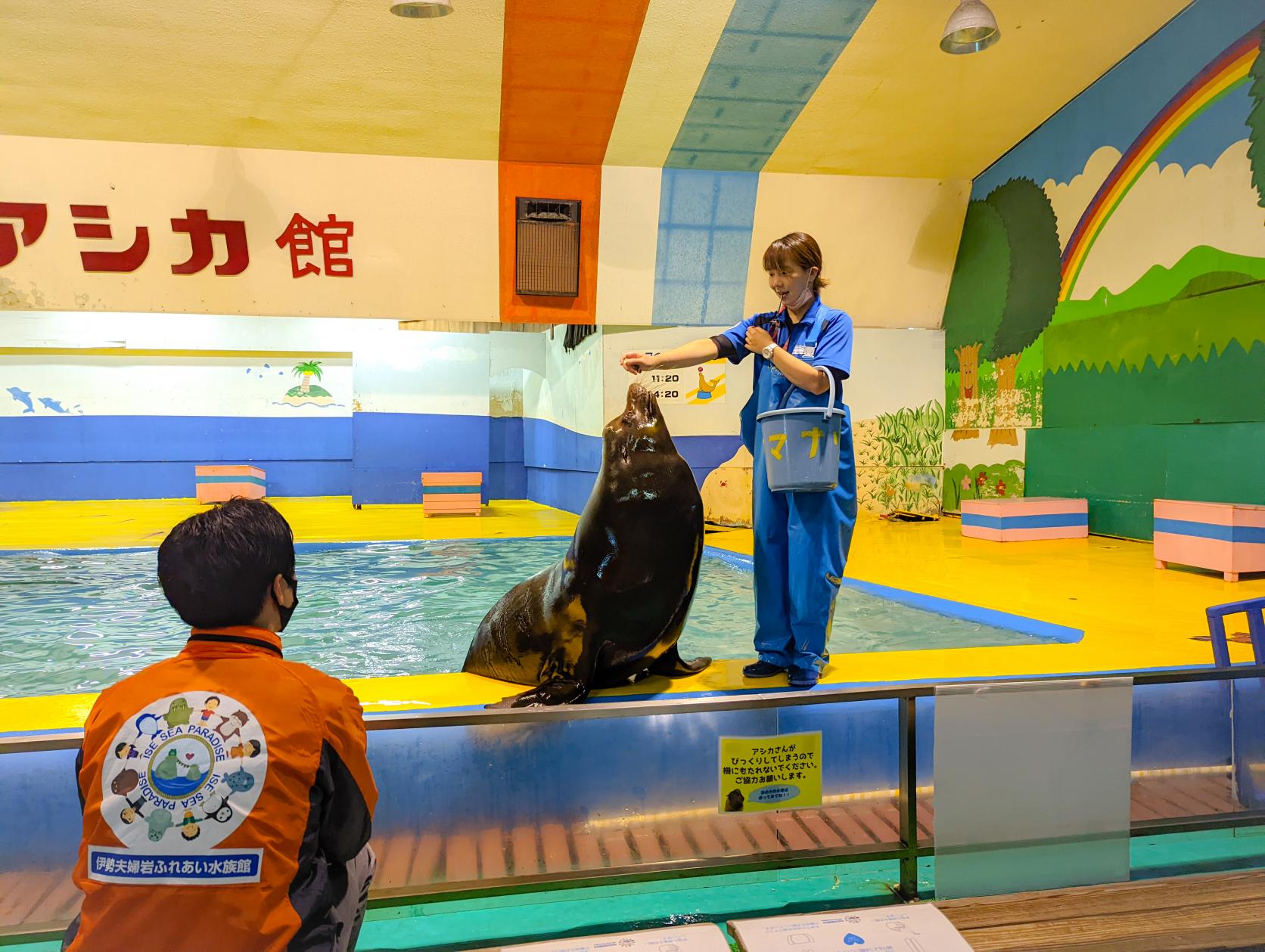 海獣広場で癒されよう-2