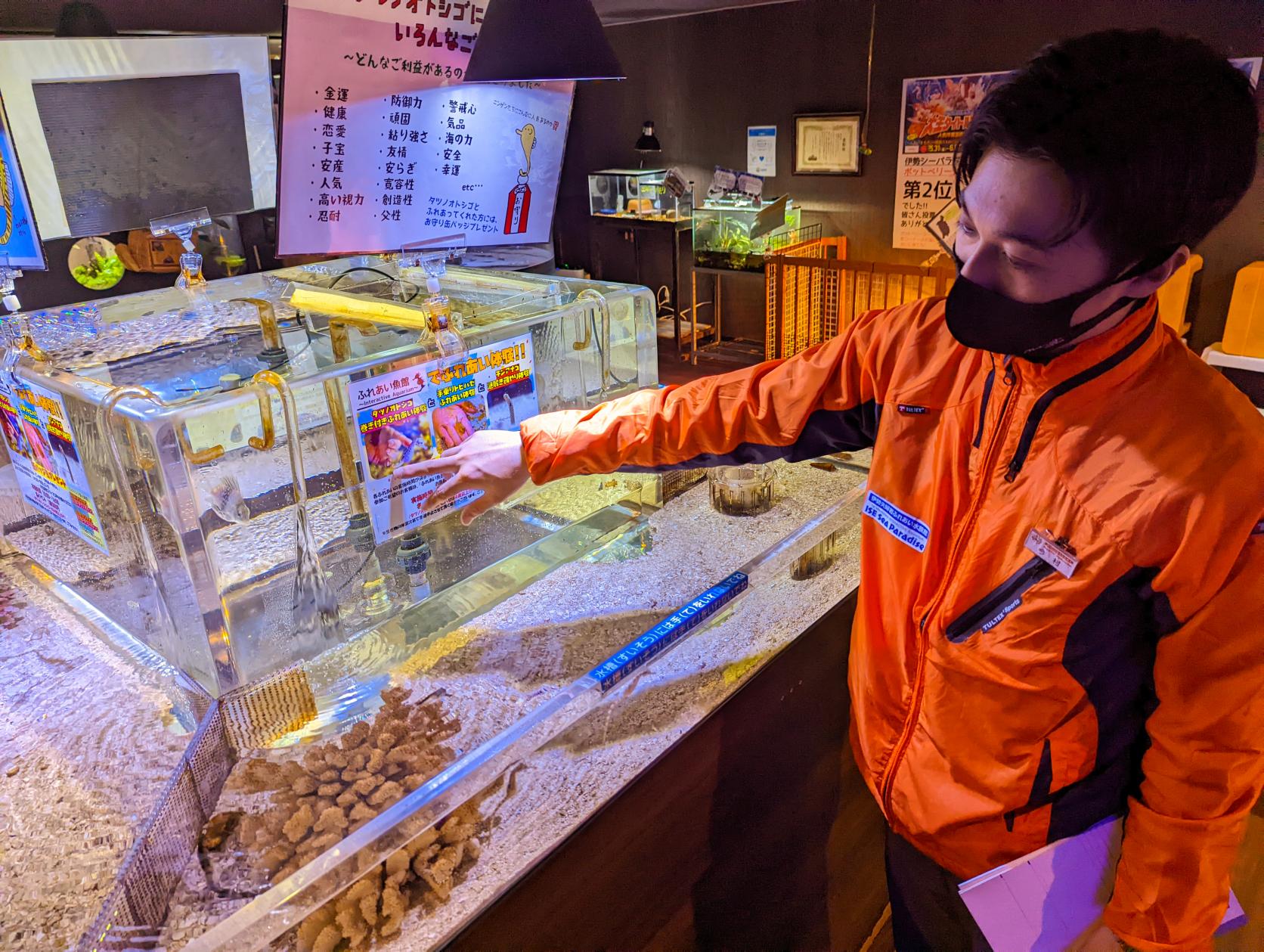 ここだけの魅力がたくさん！「ふれあい魚館」-4