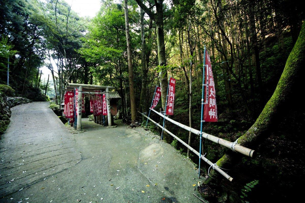 鳥羽三女神-3