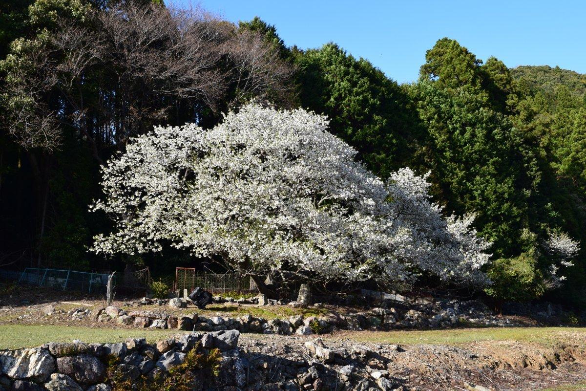 天の岩戸-7