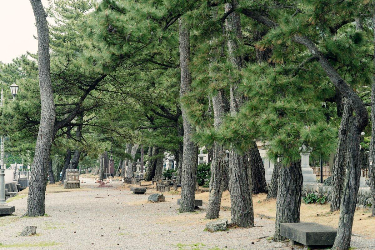 夫婦岩（二見興玉神社）-6