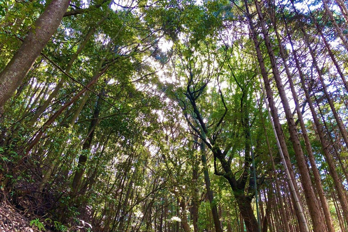 温泉に入りながら眺められるさまざまな絶景に注目！-2