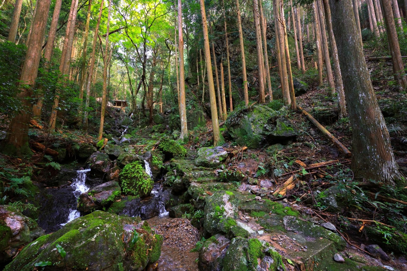 南伊勢町／押渕白滝（おしぶちしらたき）-4