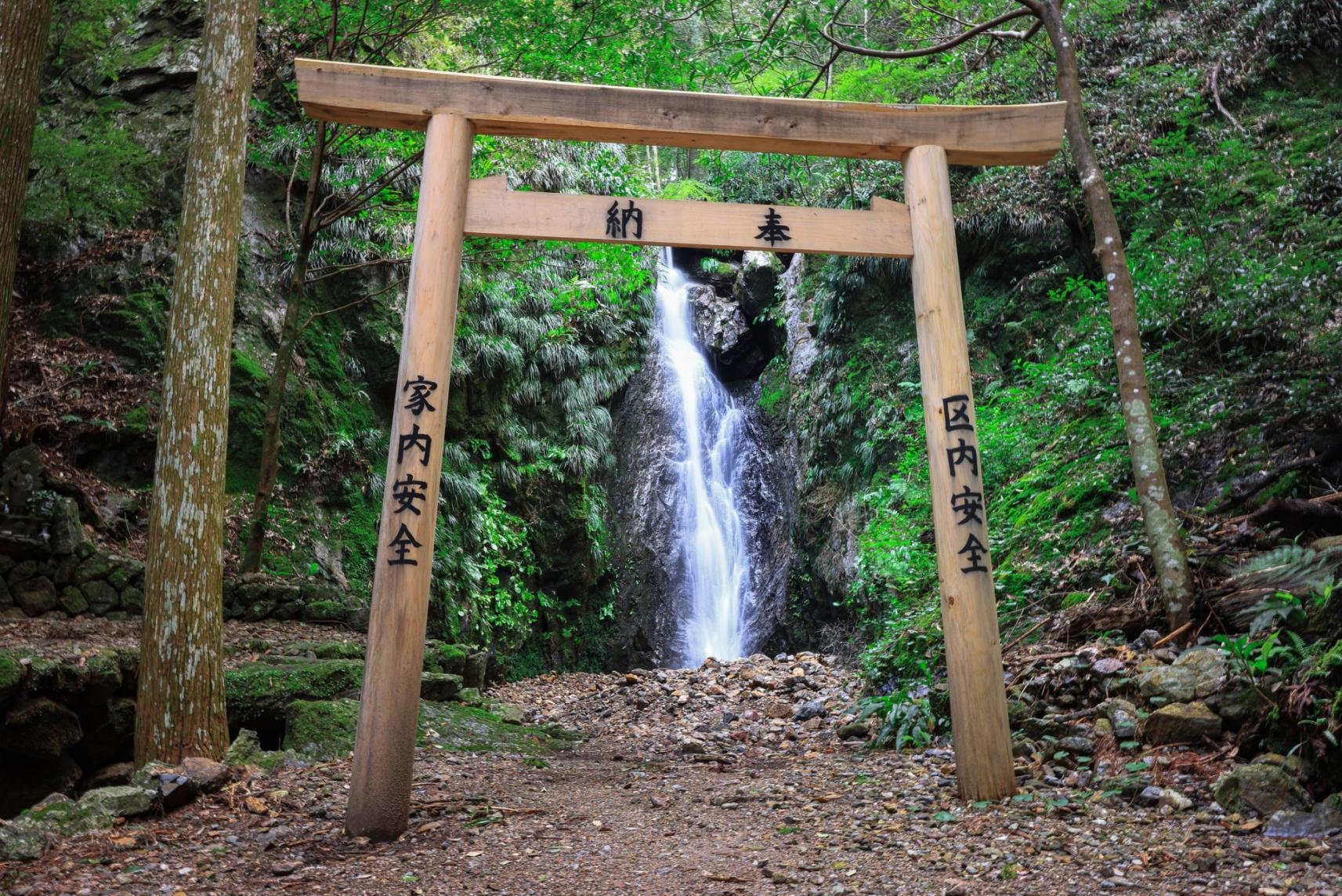 南伊勢町／押渕白滝（おしぶちしらたき）-1