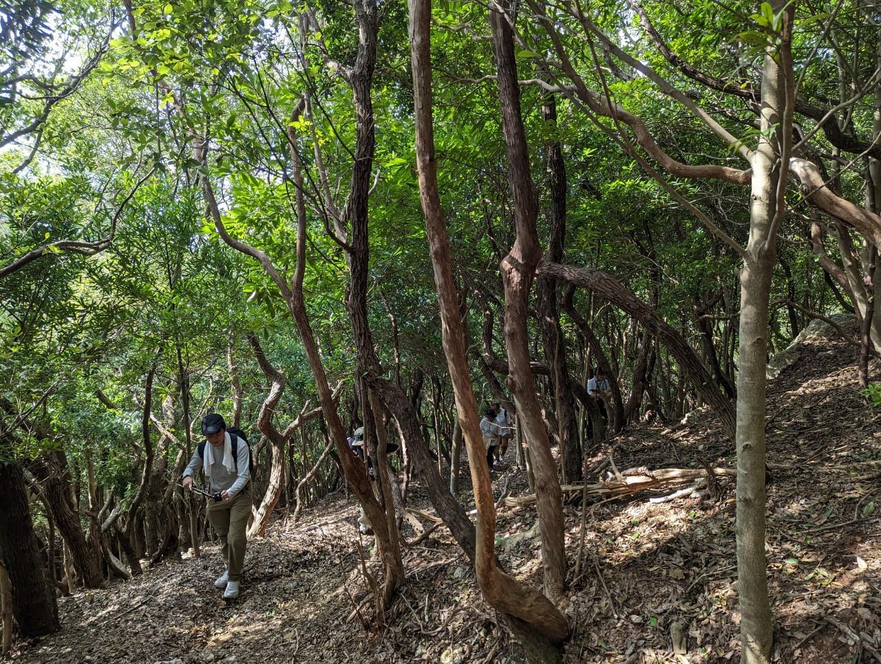 いよいよ登山開始！はじまりは愛洲の館から-3