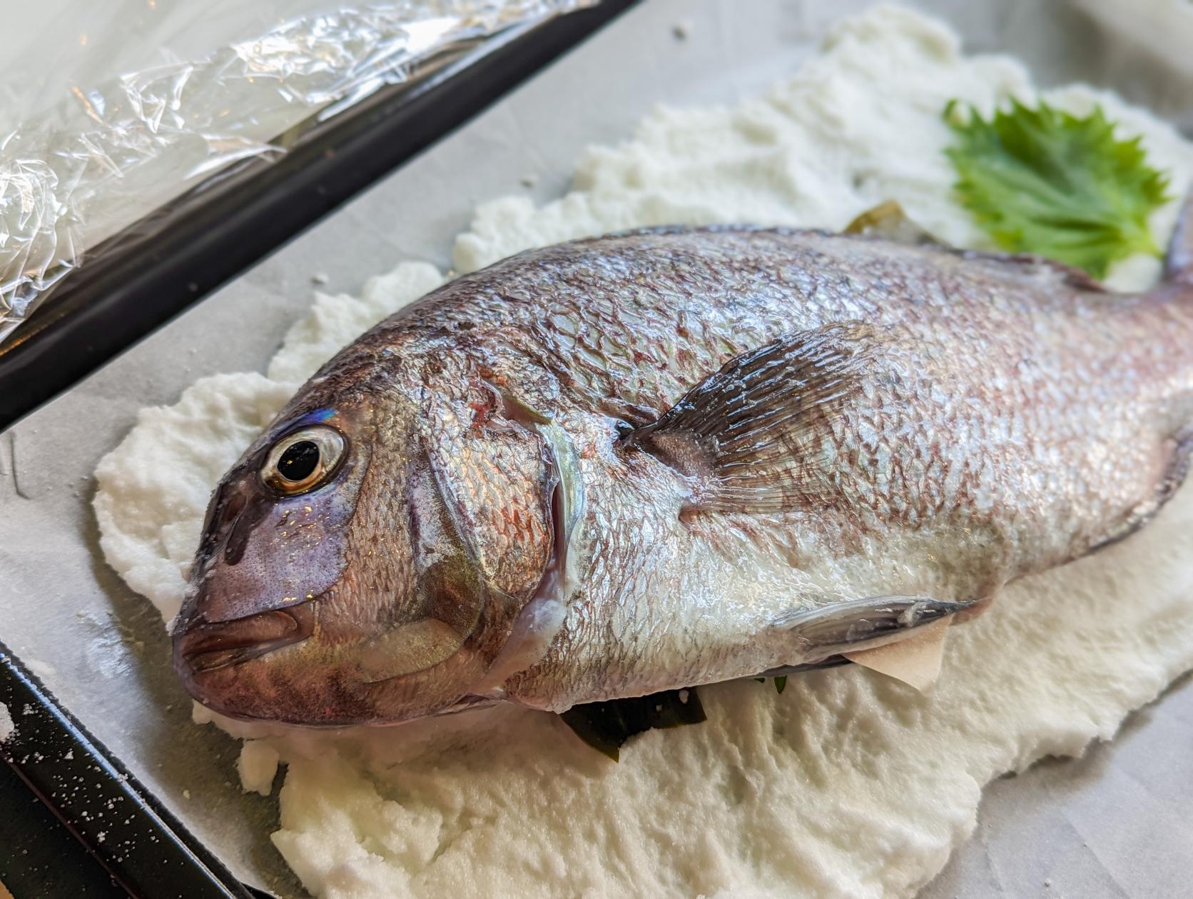 鯛になる、いのちをいただく塩釜焼き体験-0