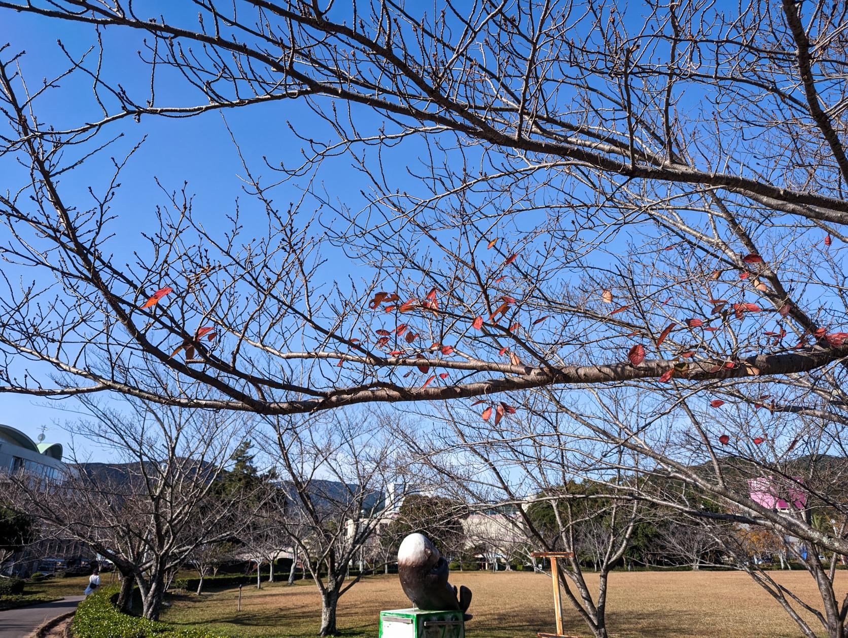 地域で愛されているガリバー公園（鳥羽市民の森公園）-4