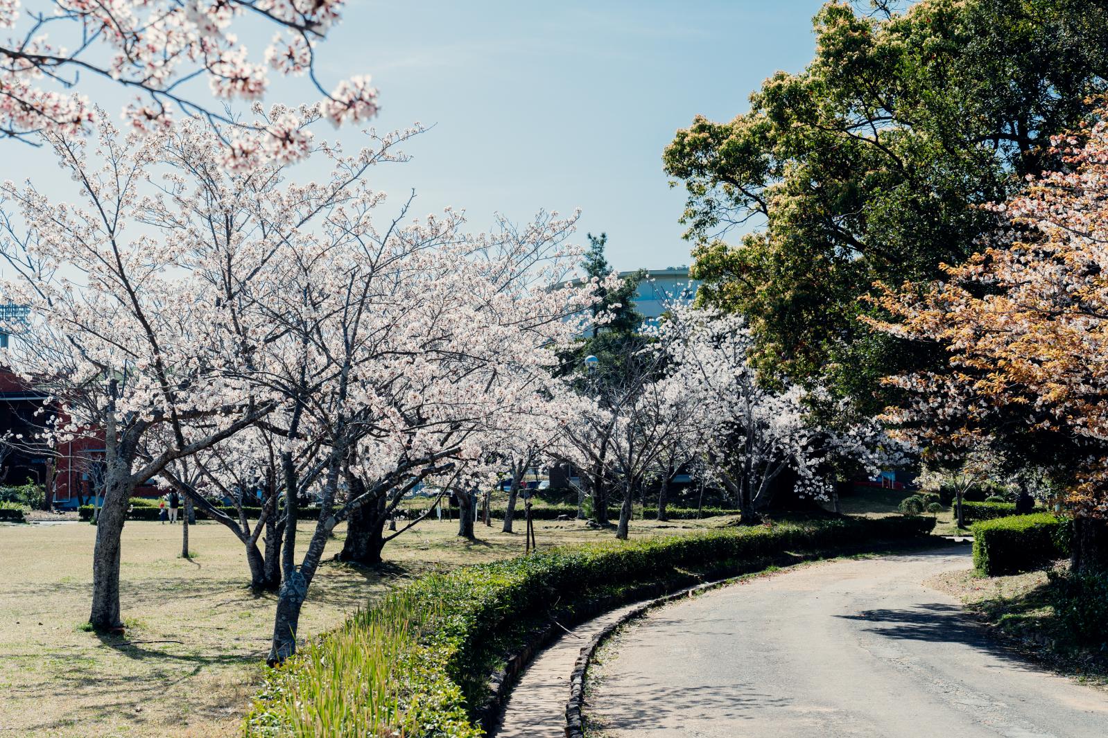 地域で愛されているガリバー公園（鳥羽市民の森公園）-1