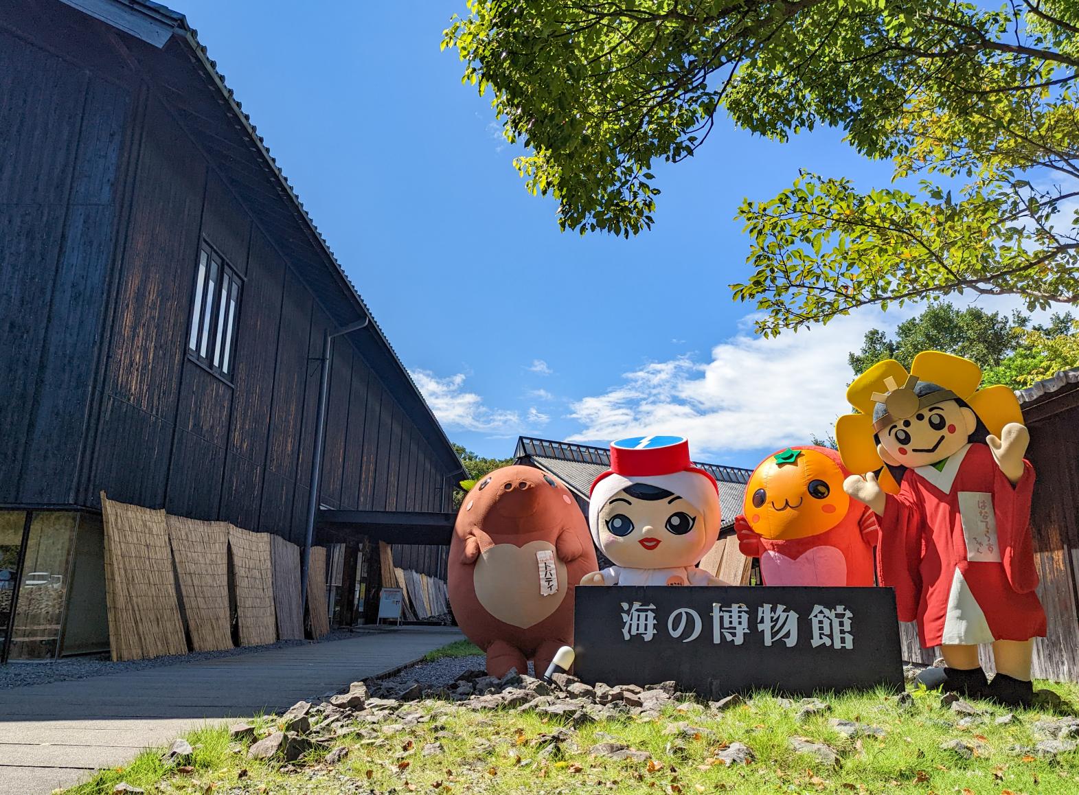 もっと知りたい鳥羽市立 海の博物館！注目のカフェや大人気のうみはく