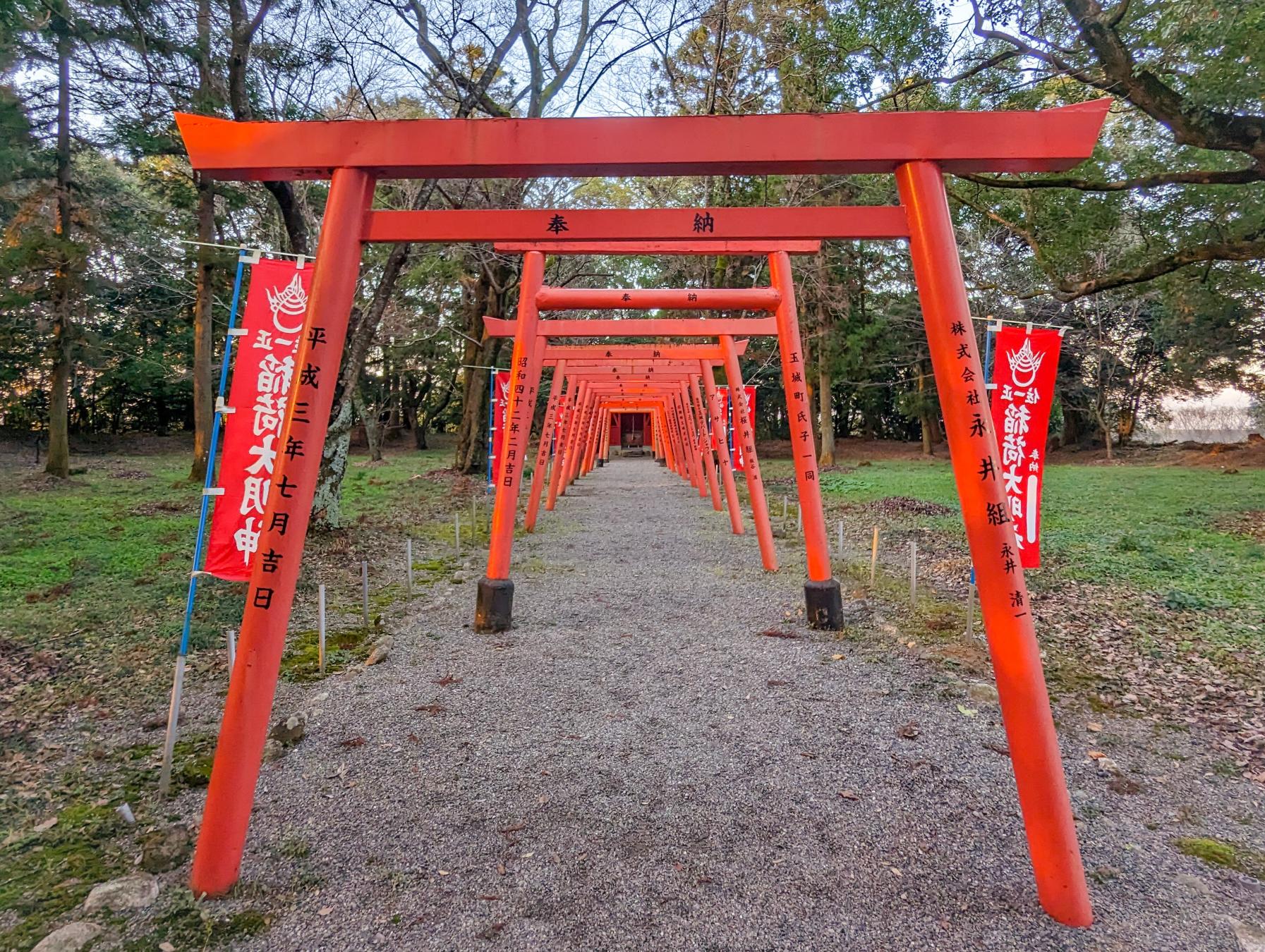 鳥居が立ち並ぶ城山稲荷神社-0