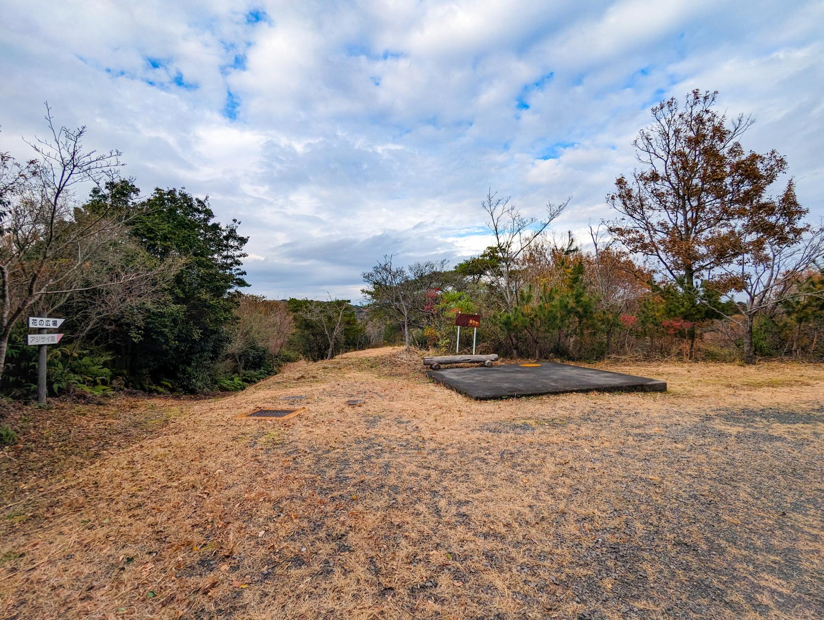 ④ アジサイの道～ビオトープ～しょうぶ園-1