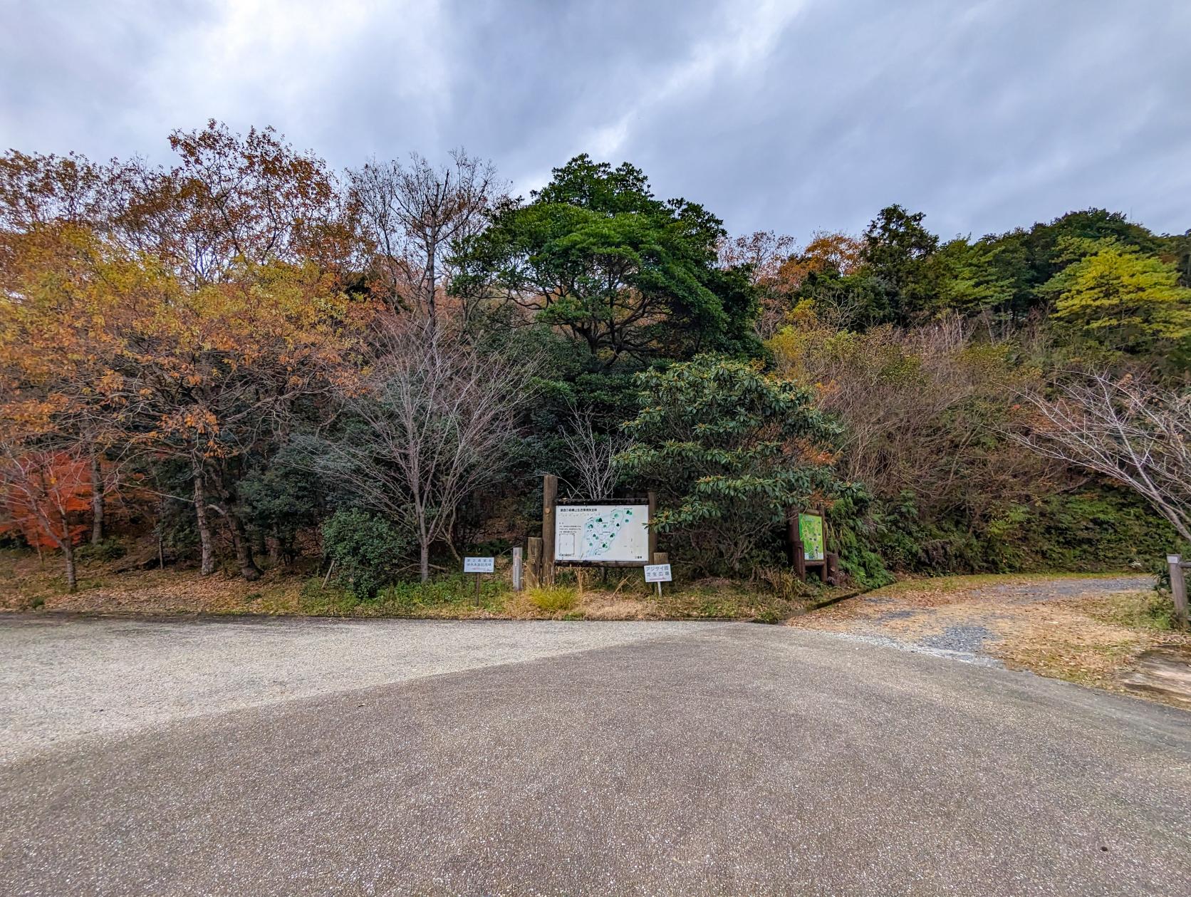 ④ アジサイの道～ビオトープ～しょうぶ園-5