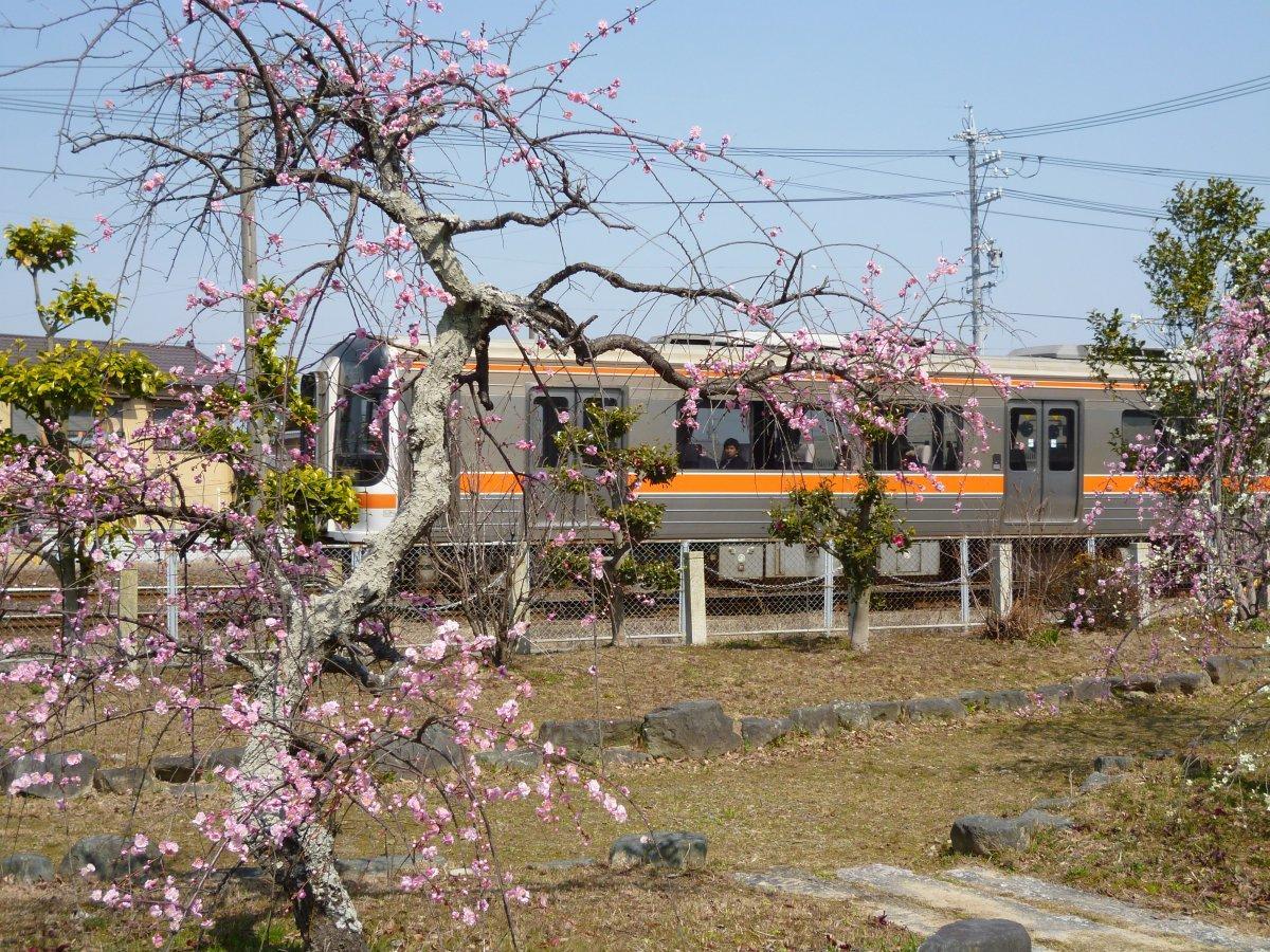 伊勢市／離宮院公園（りきゅういんこうえん）-0