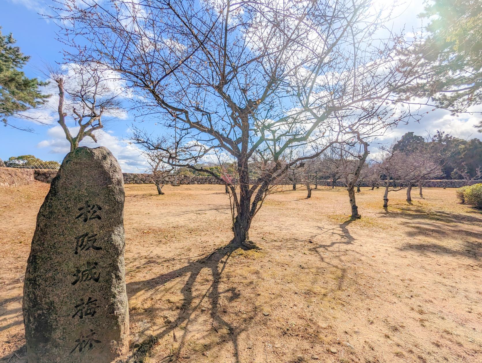 松阪市／松坂城跡-2