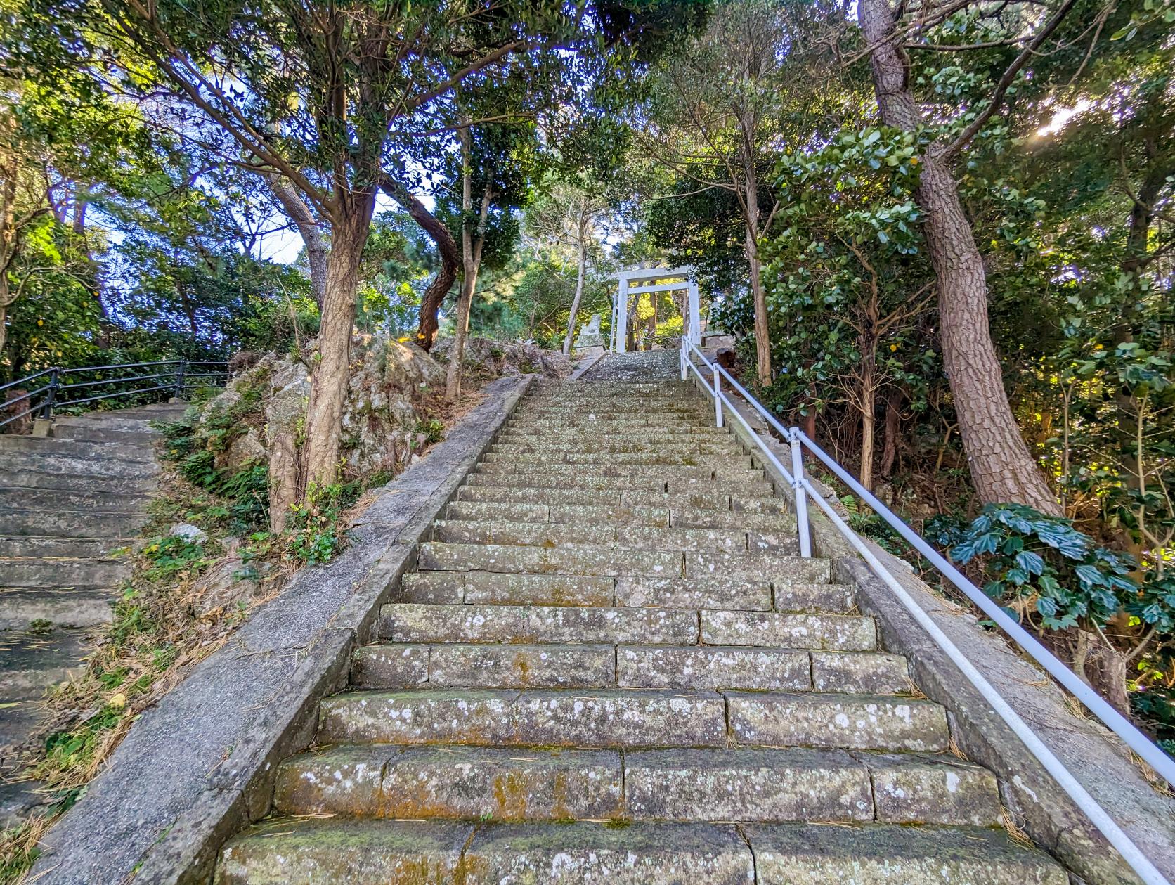 見どころ① 『八代神社』で静けさと澄んだ空気を感じる-1