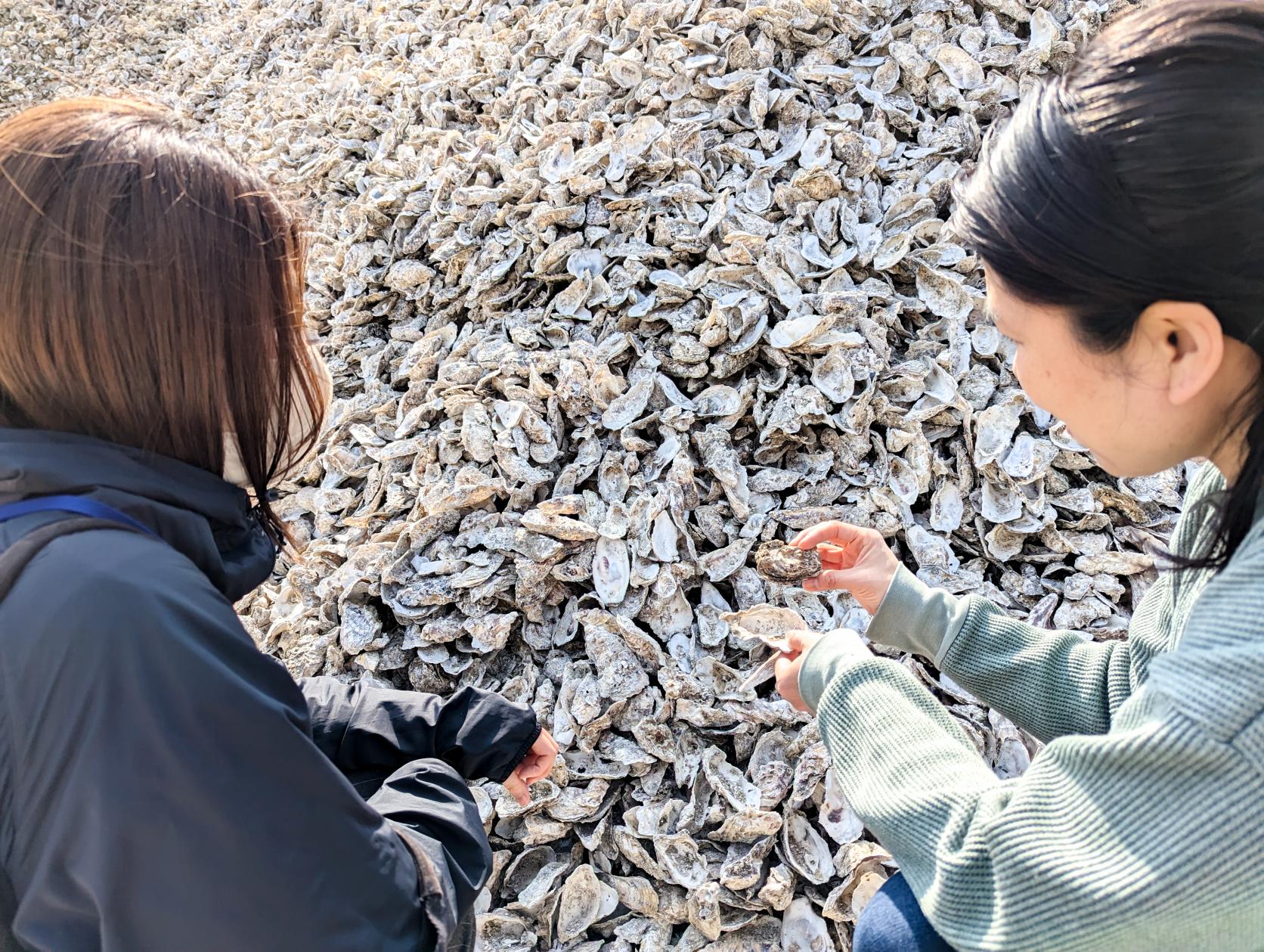 大量に積み上げられた牡蠣殻の山は圧巻！-1