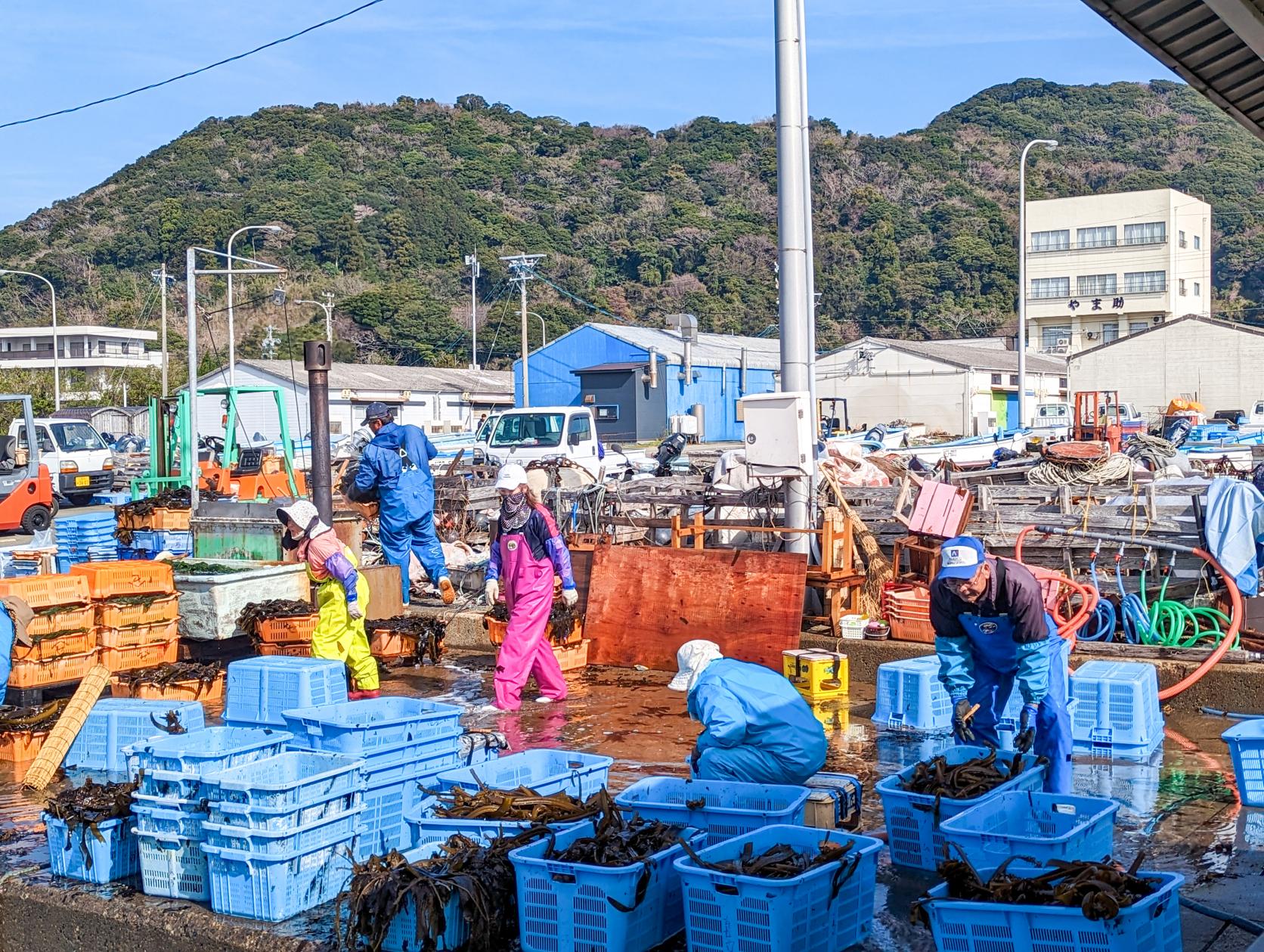 答志島に到着！おすすめのルートはこちらです-1