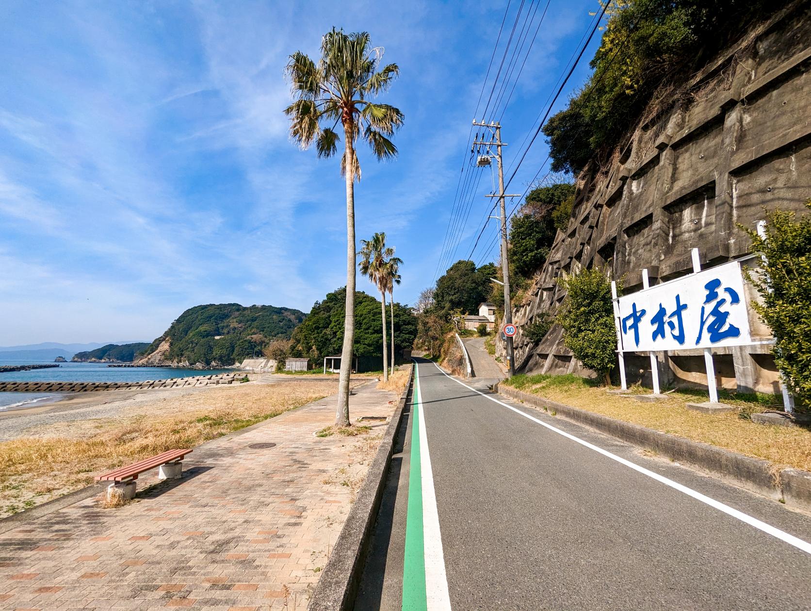 見どころ① 美しい南国の風景『サンシャインビーチ』-4