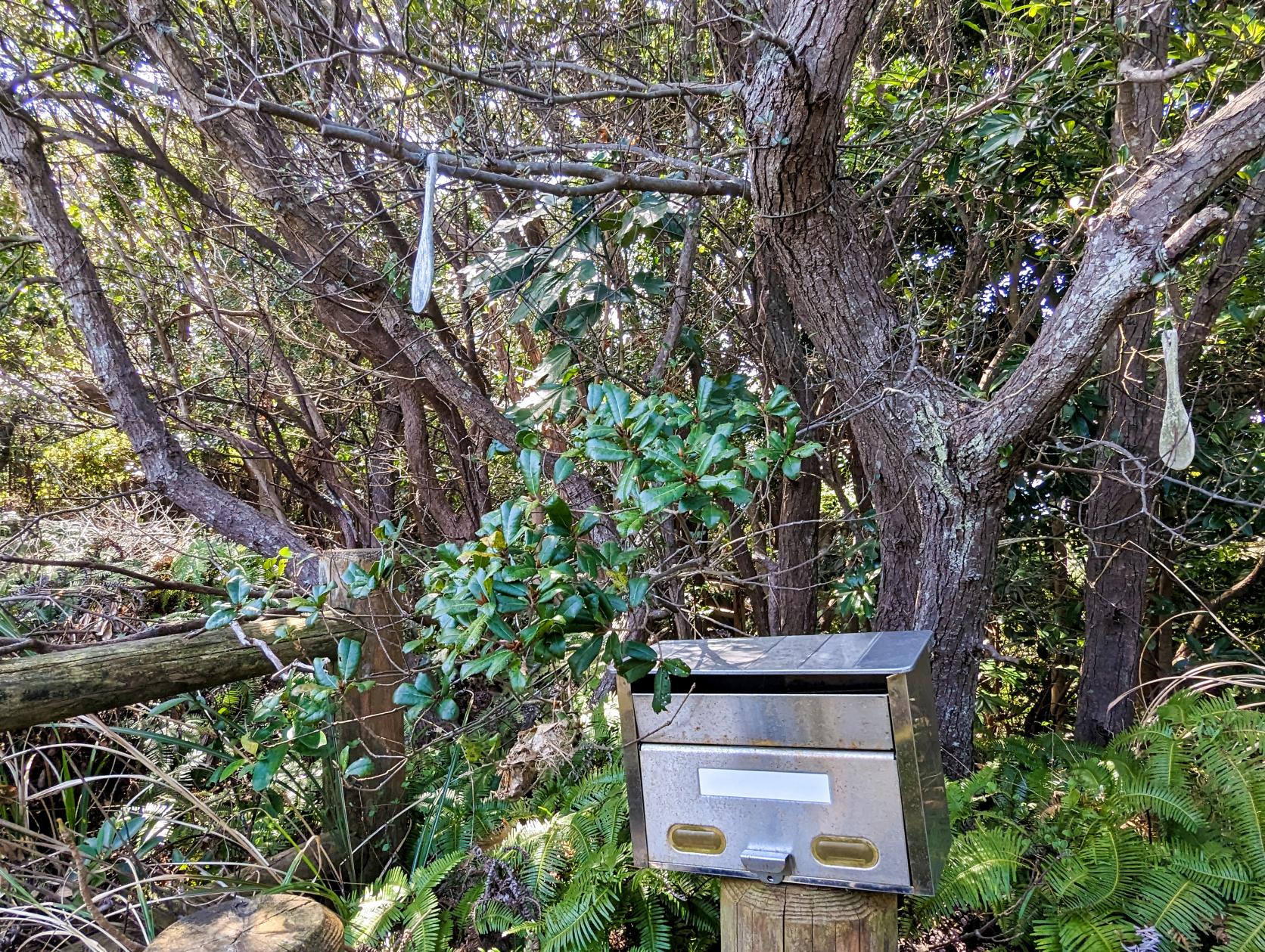 見どころ③ 島にのこる九鬼嘉隆の史跡の数々-5