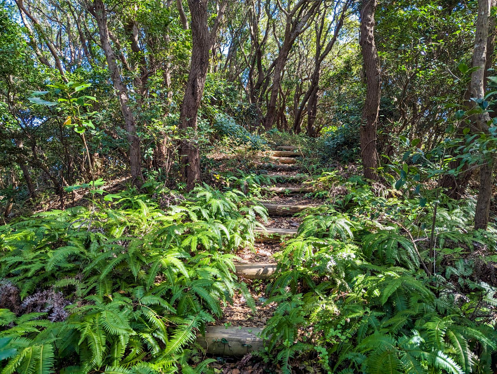 見どころ③ 島にのこる九鬼嘉隆の史跡の数々-3