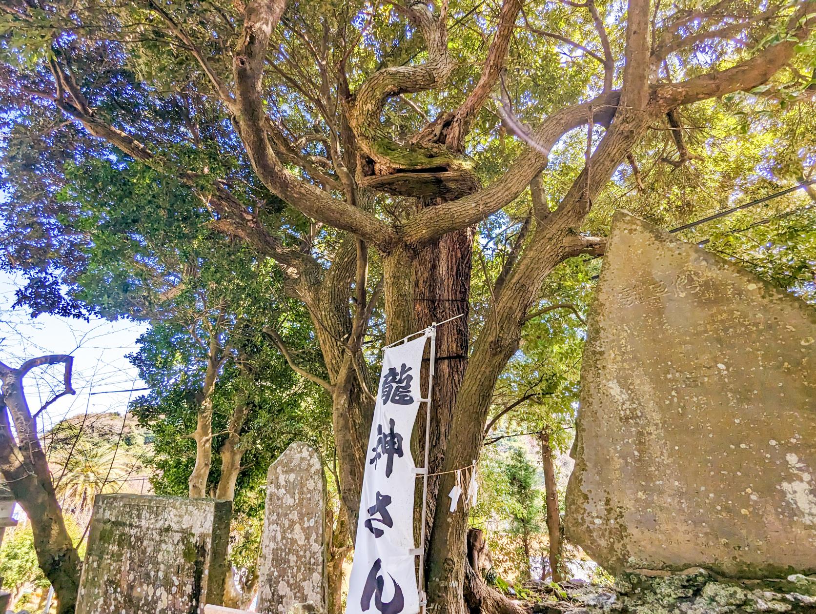 見どころ⑥ 『美多羅志神社』と『龍神さん』-4