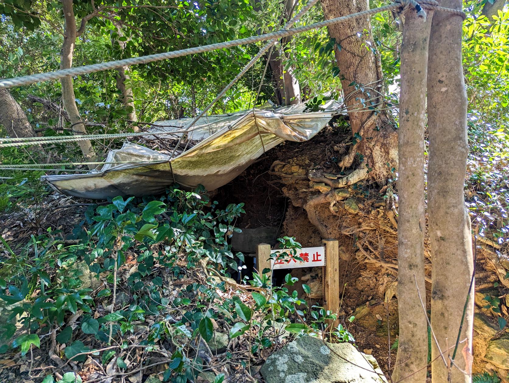 体力と時間に余裕のある方へ！岩屋山古墳と蟹穴古墳-4