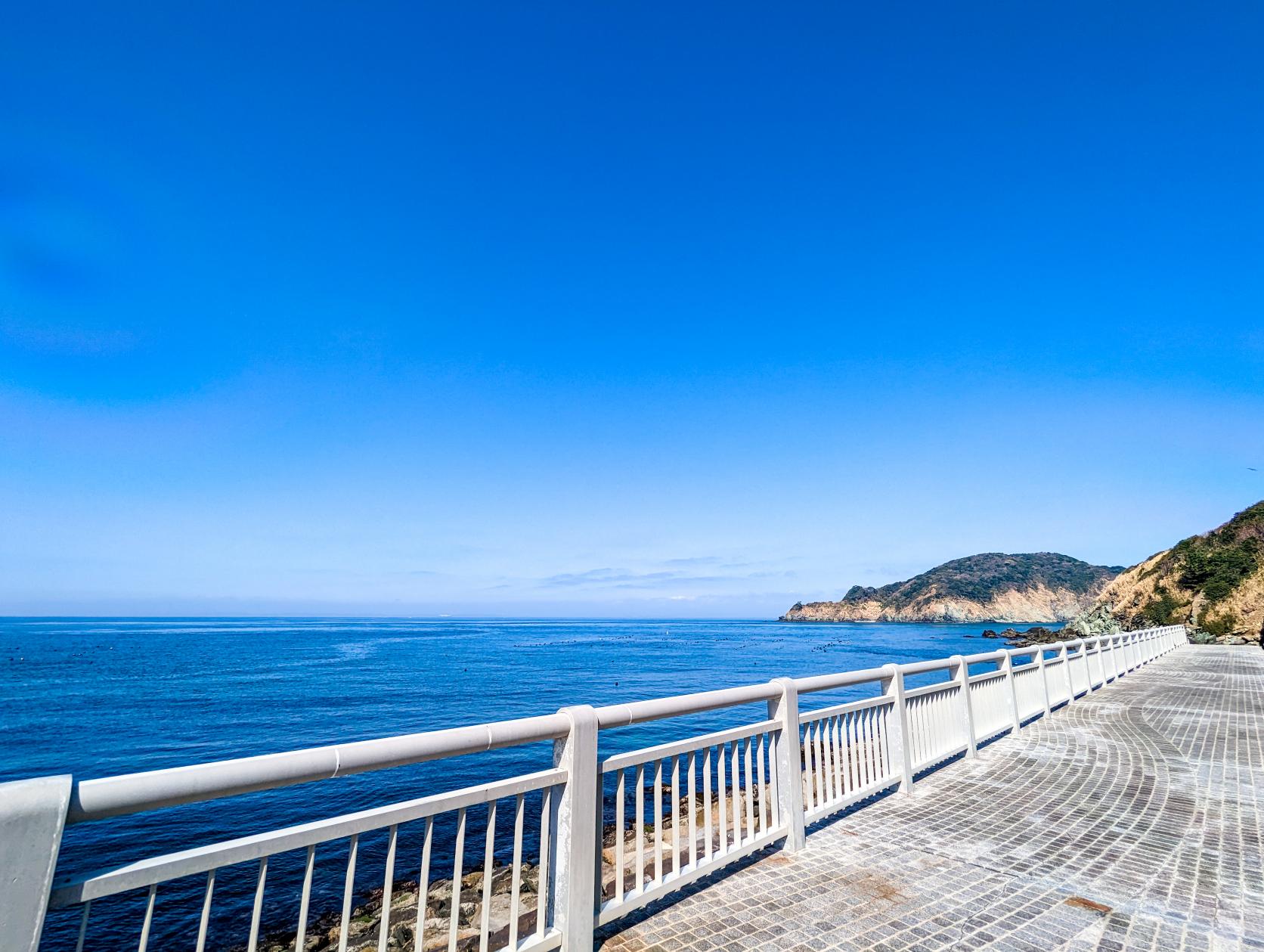 見どころ⑦ 夏の風景を思い出す『白浜海水浴場』-2